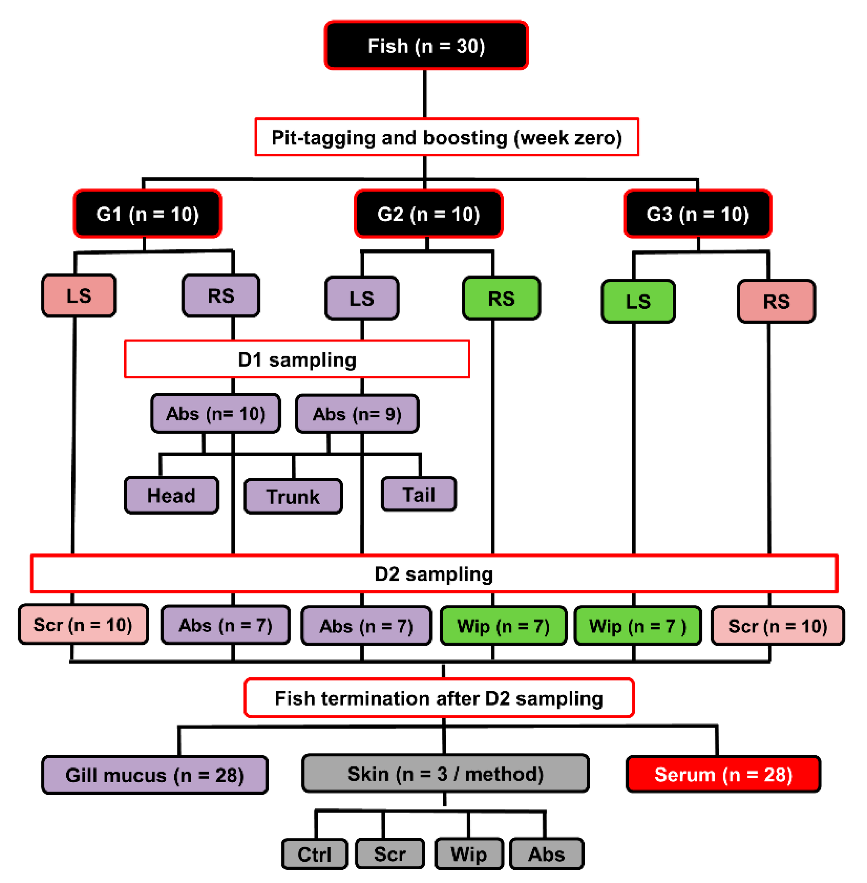 Animals 10 01374 g001