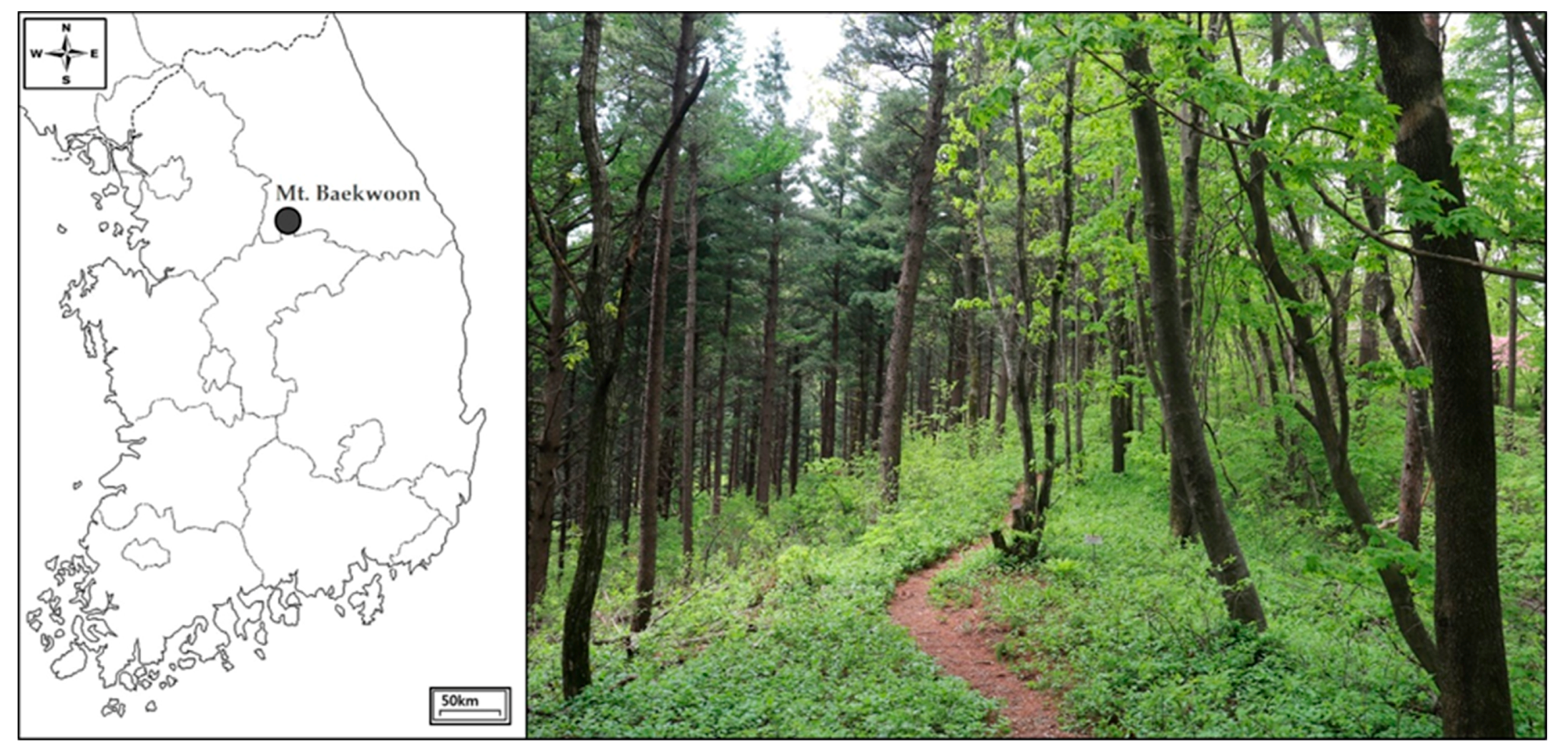 Animals 10 01378 g001