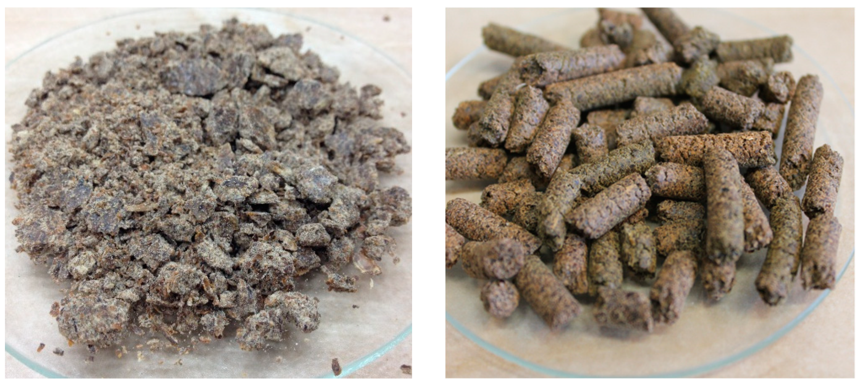 Animals 10 01384 g001