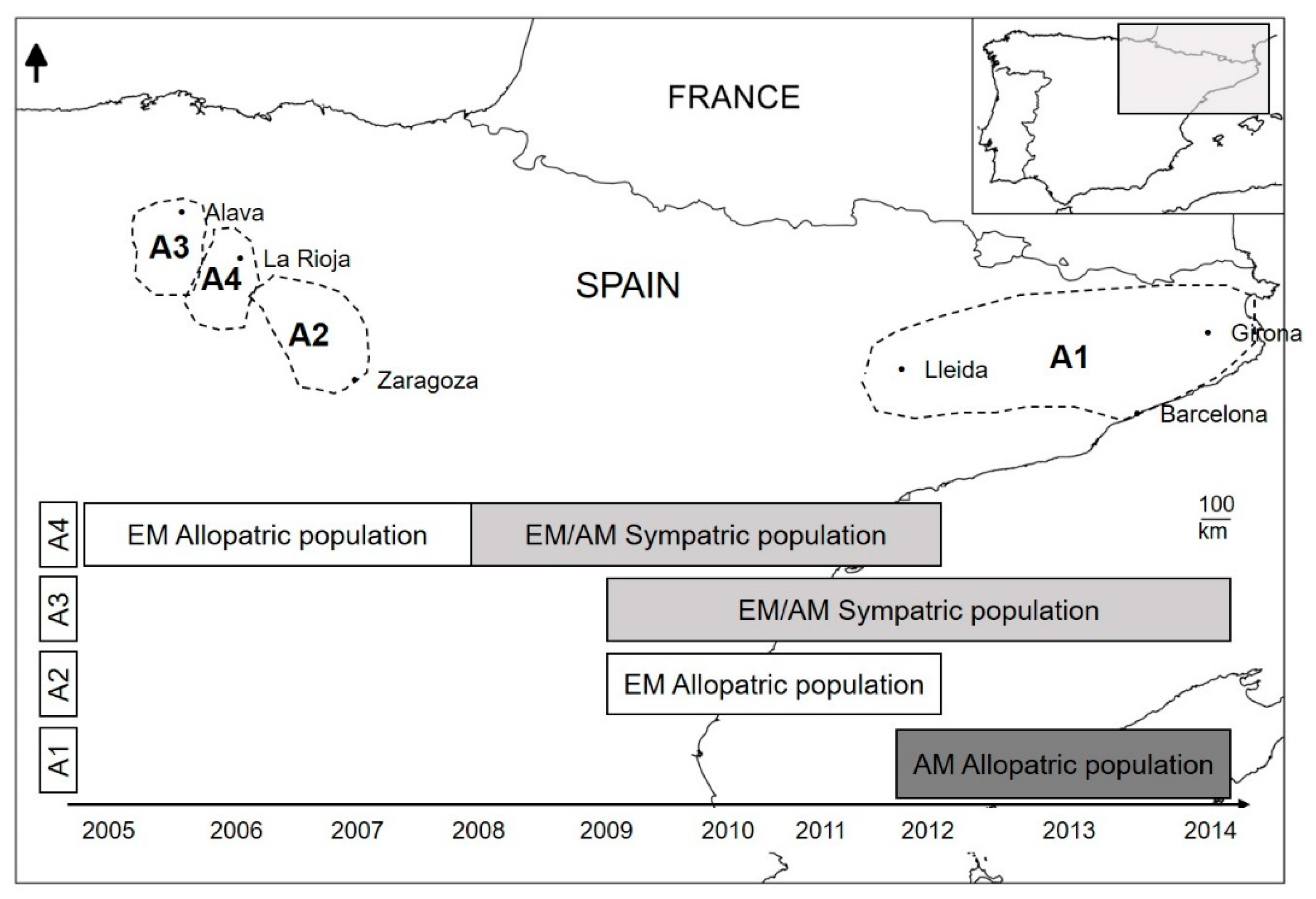 Animals 10 01387 g001