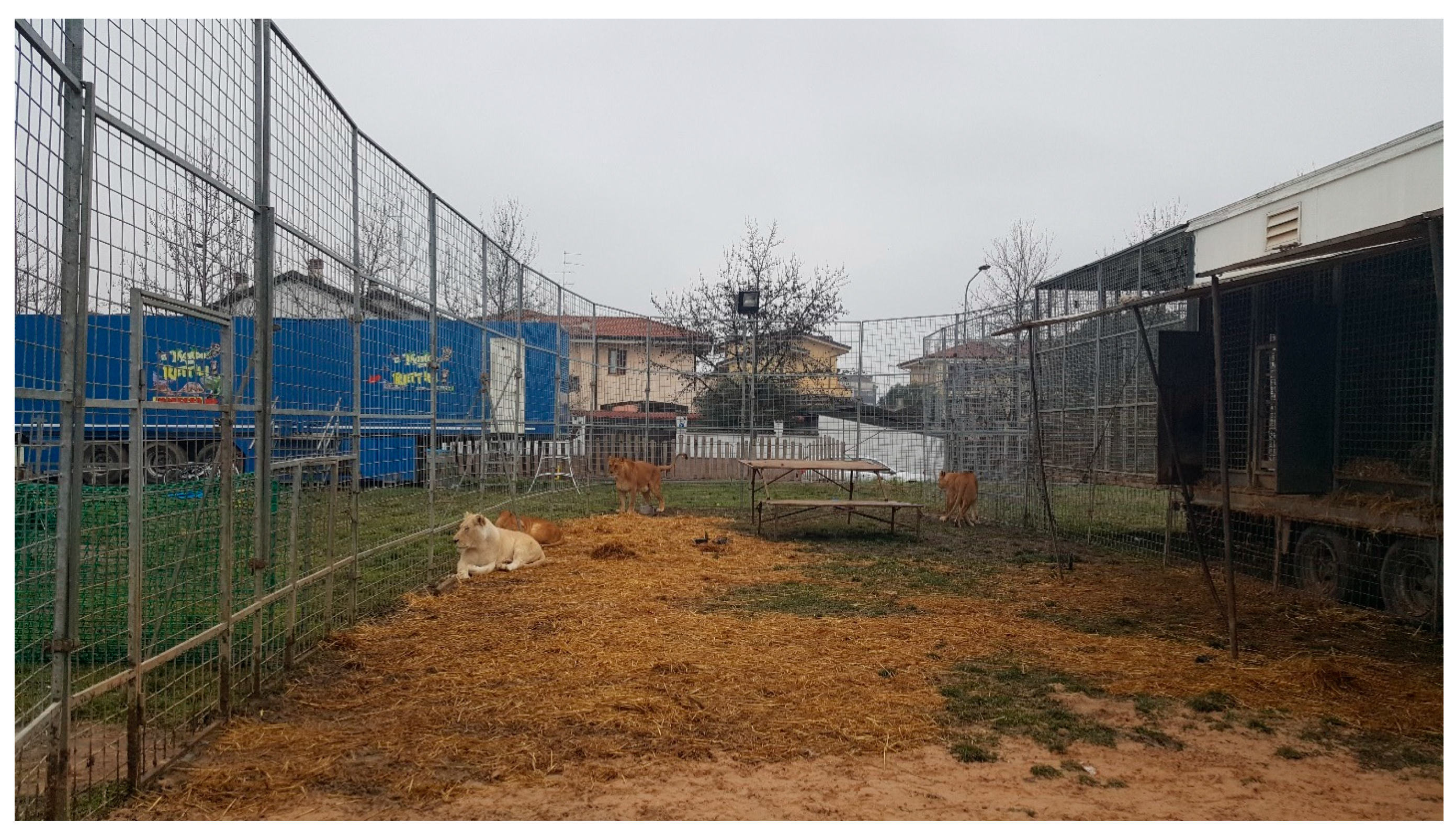 Animals 10 01388 g001 Animals 10 01388 g001