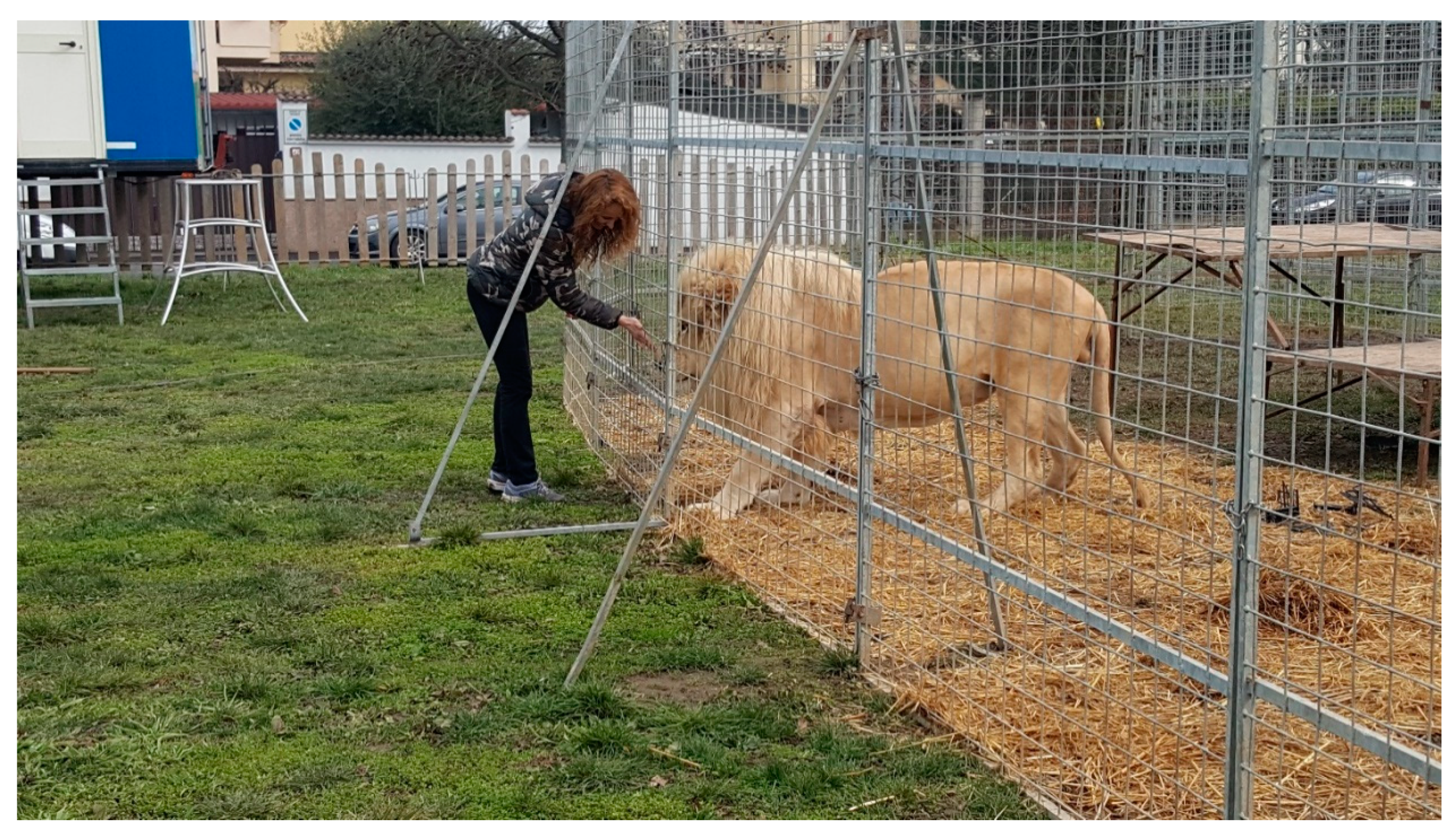 Animals 10 01388 g003 Animals 10 01388 g003