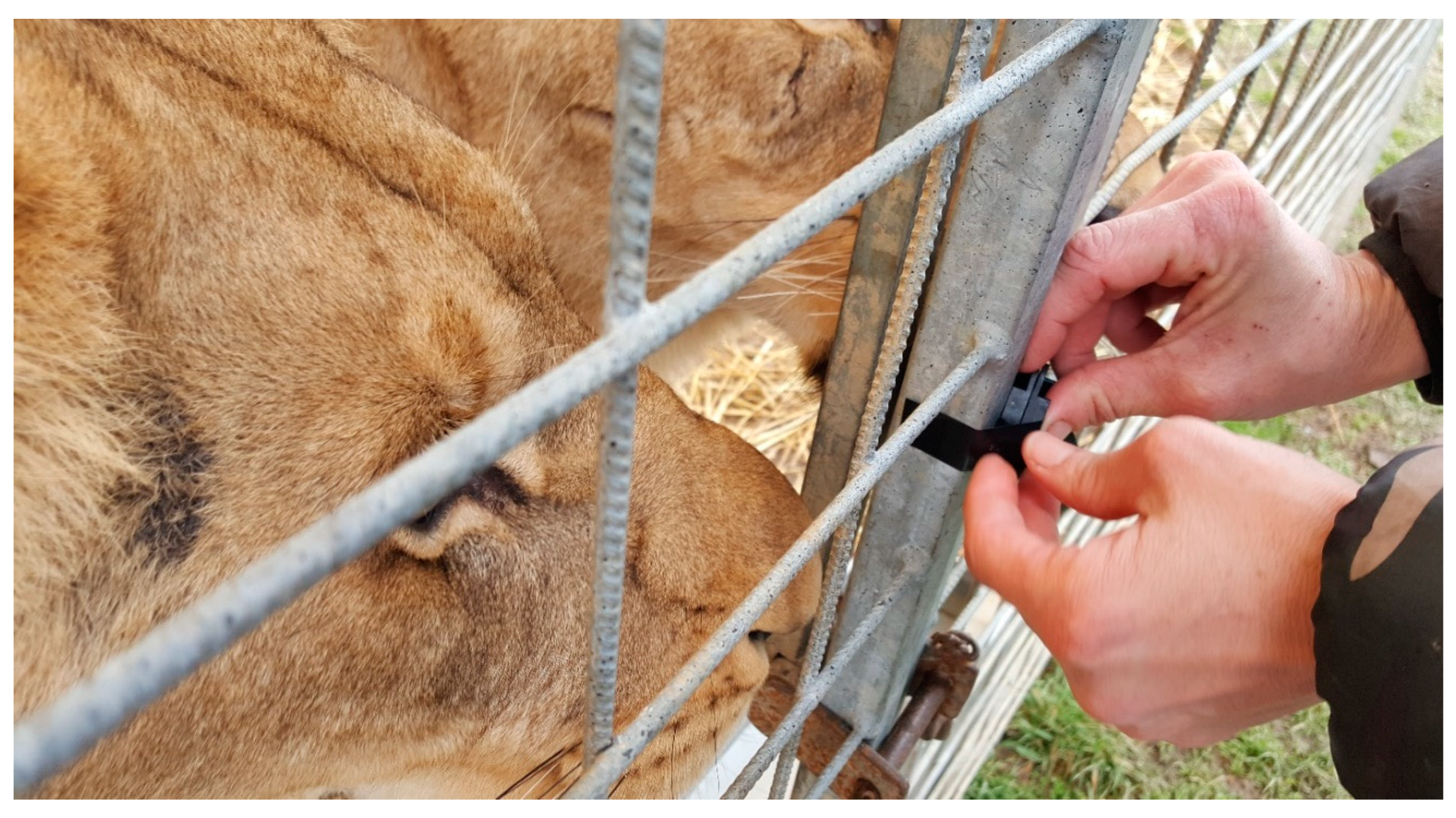 Animals 10 01388 g004 Animals 10 01388 g004