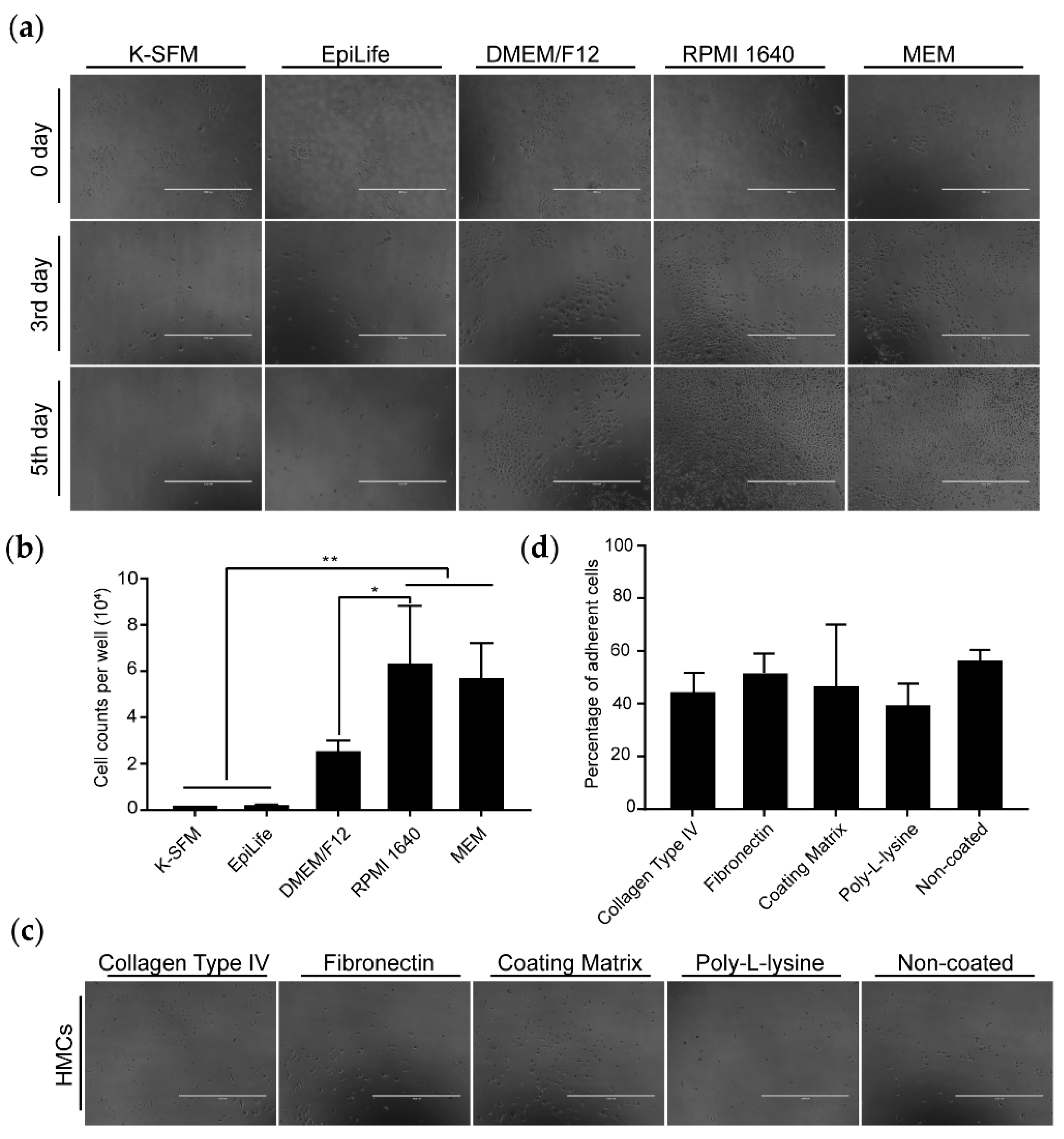 Animals 10 01400 g002