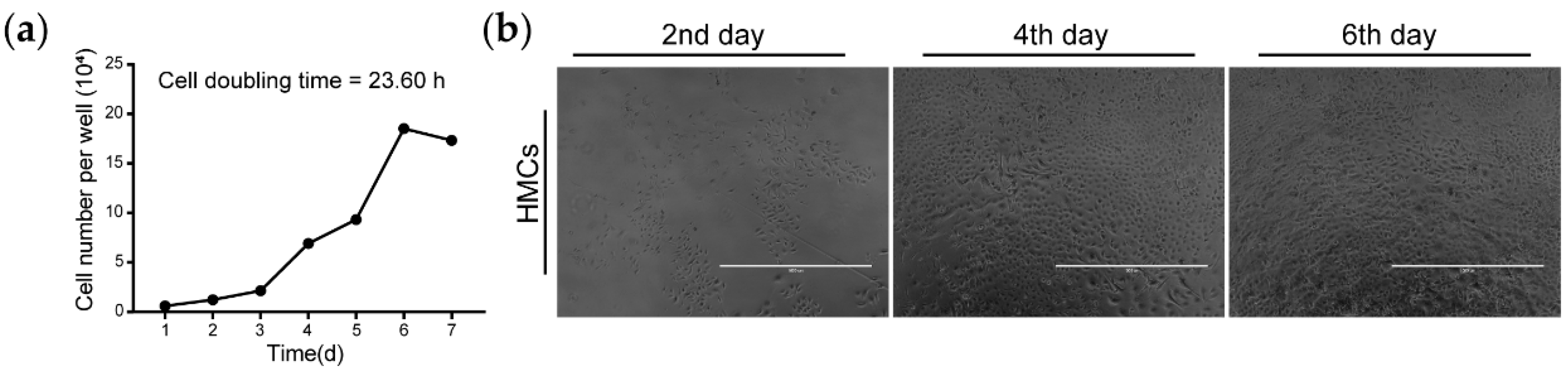 Animals 10 01400 g003