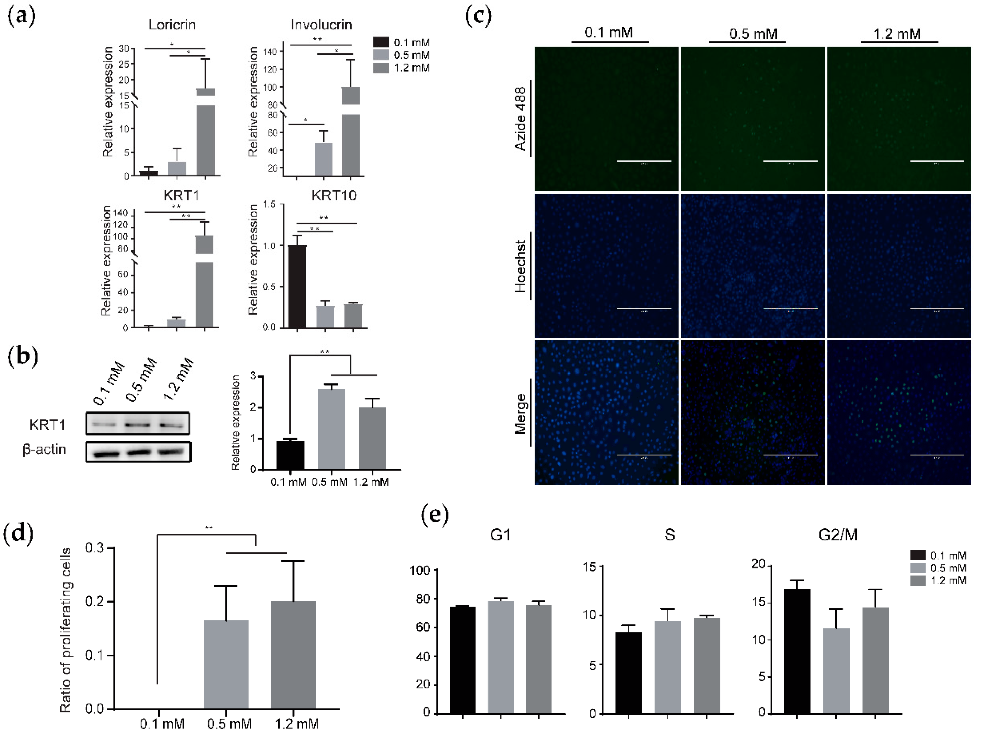 Animals 10 01400 g006