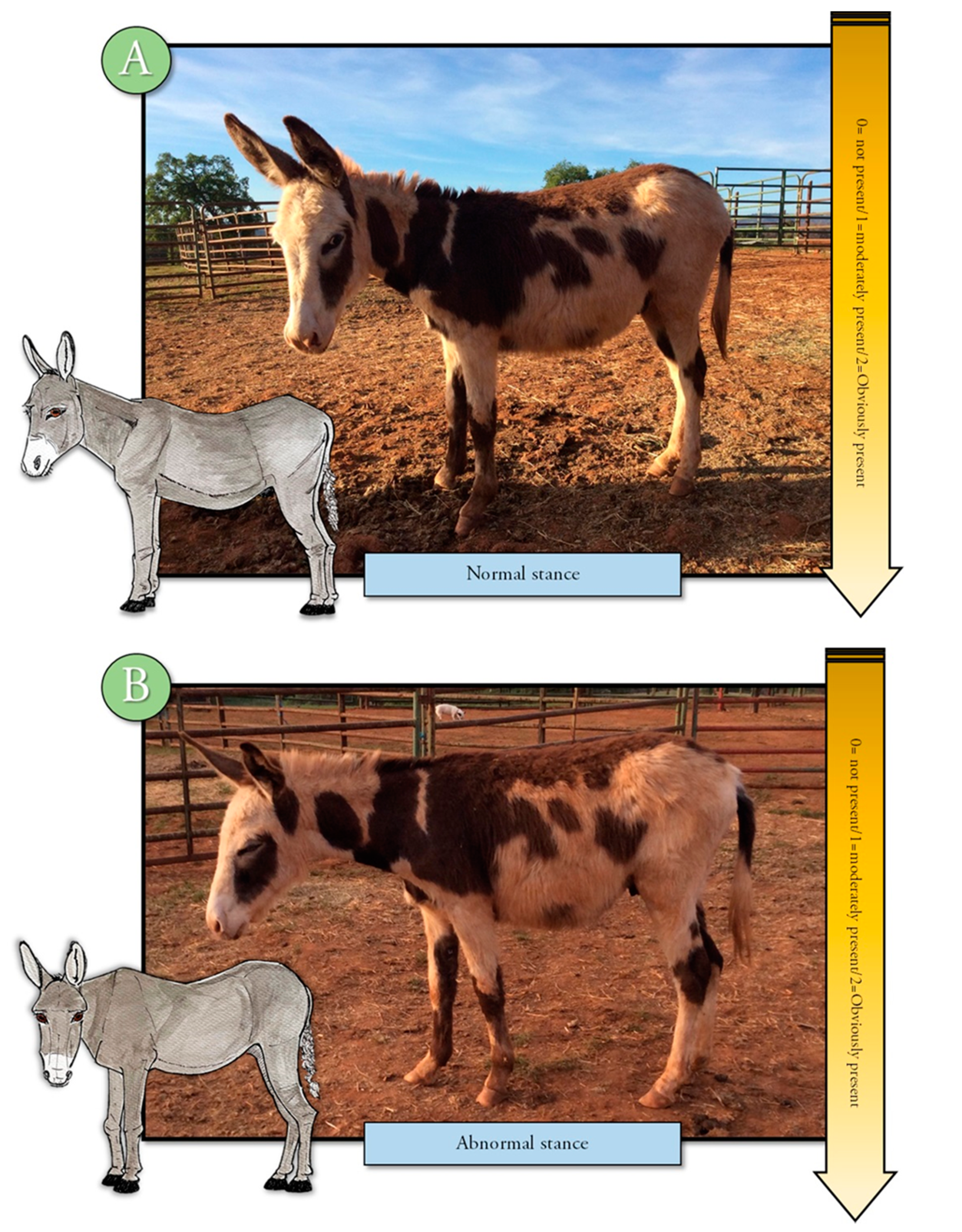 Animals 10 01411 g005