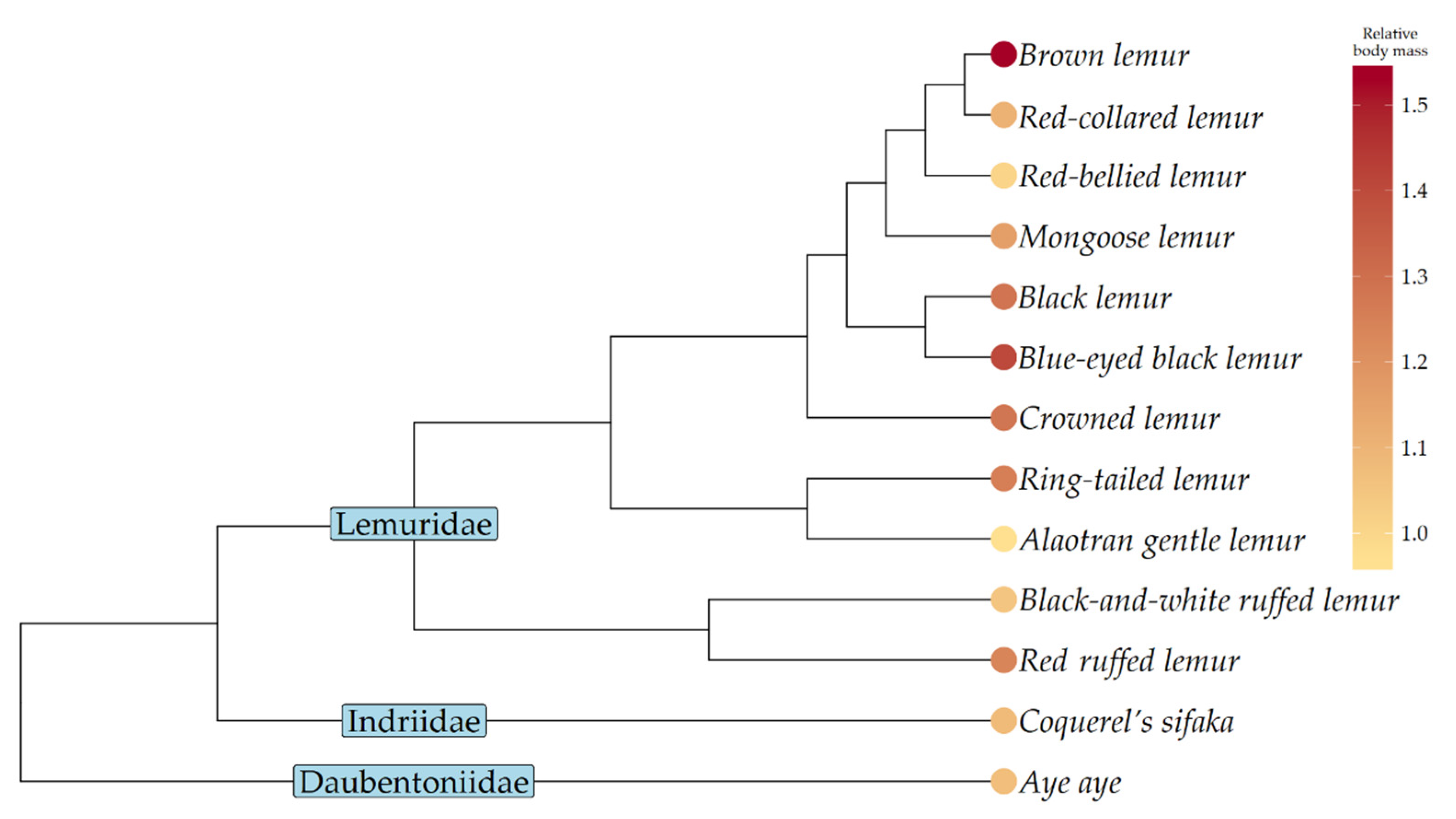 Animals 10 01443 g003