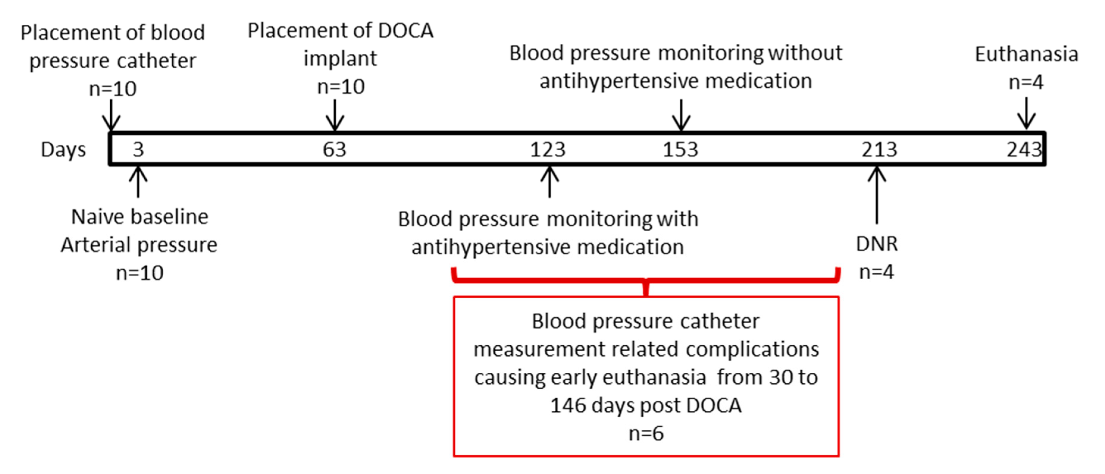 Animals 10 01446 g001