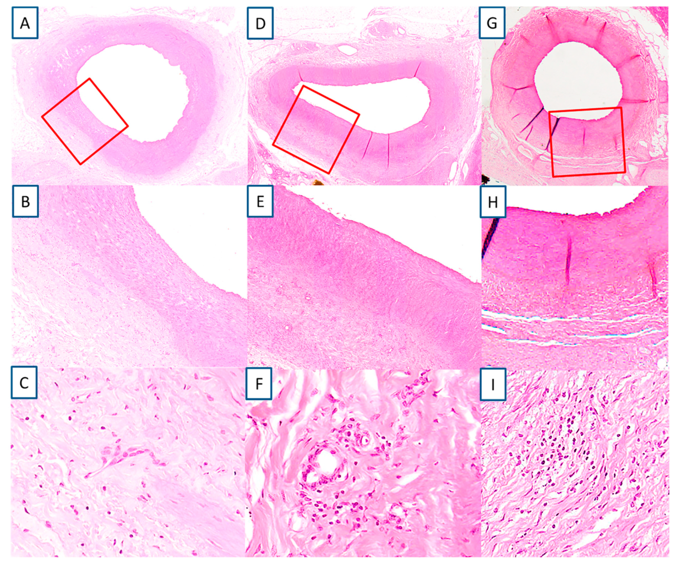 Animals 10 01446 g004