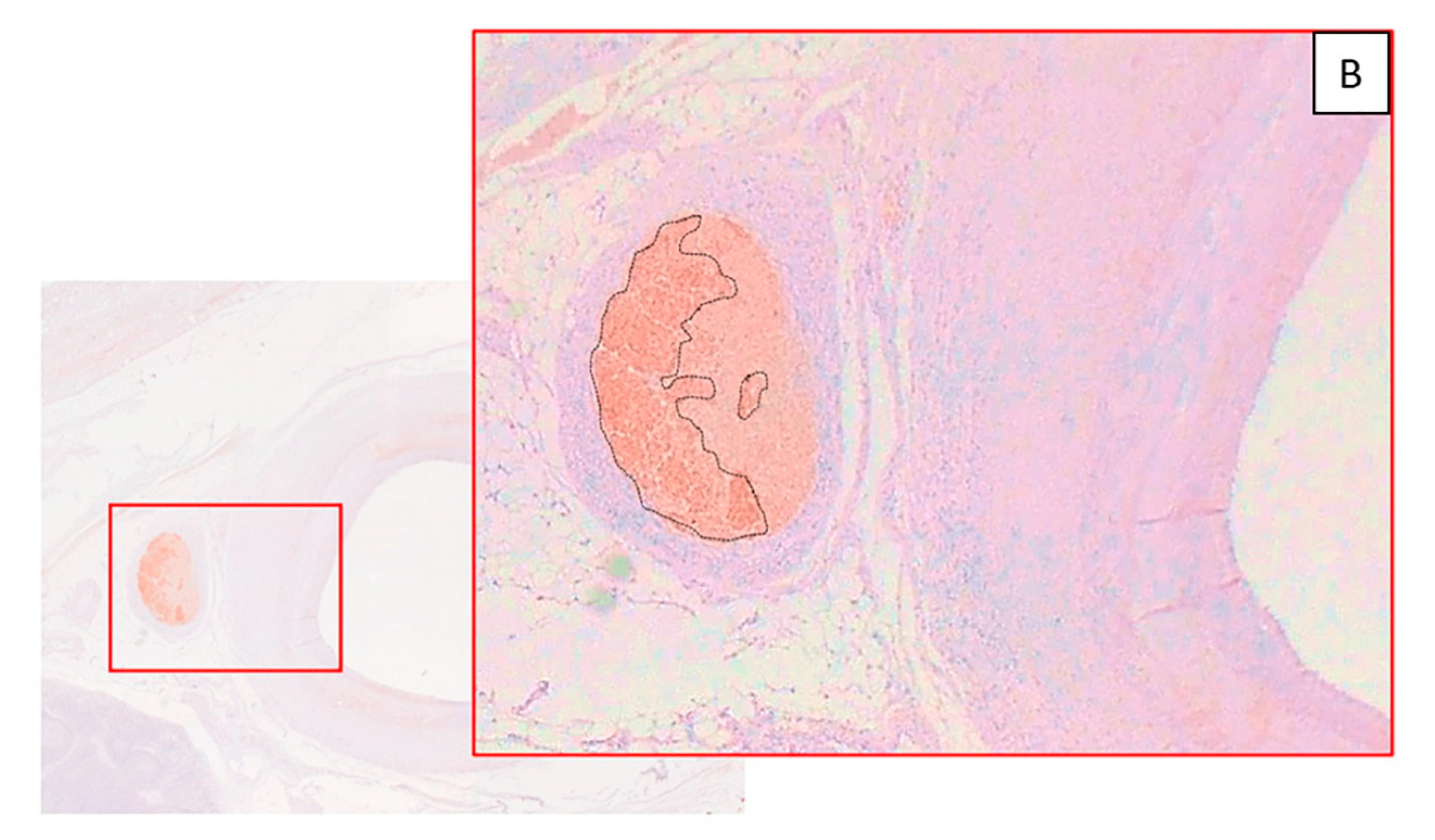 Animals 10 01446 g006b