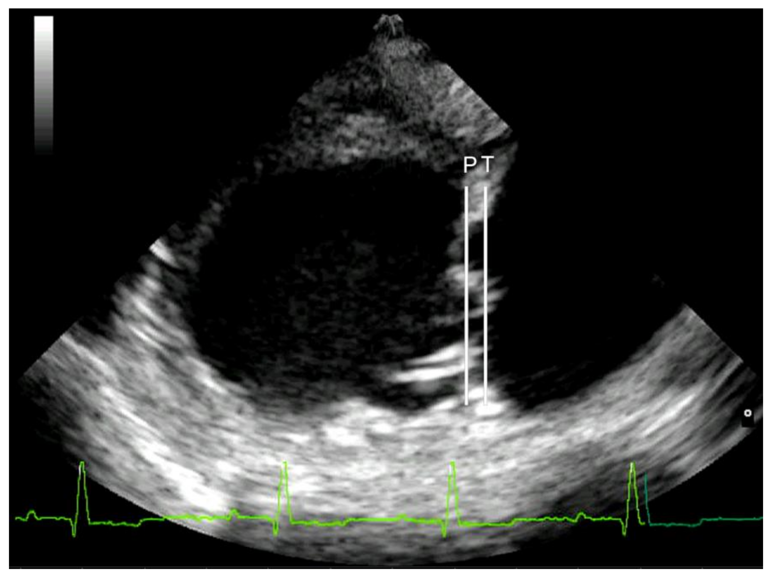 Animals 10 01454 g001