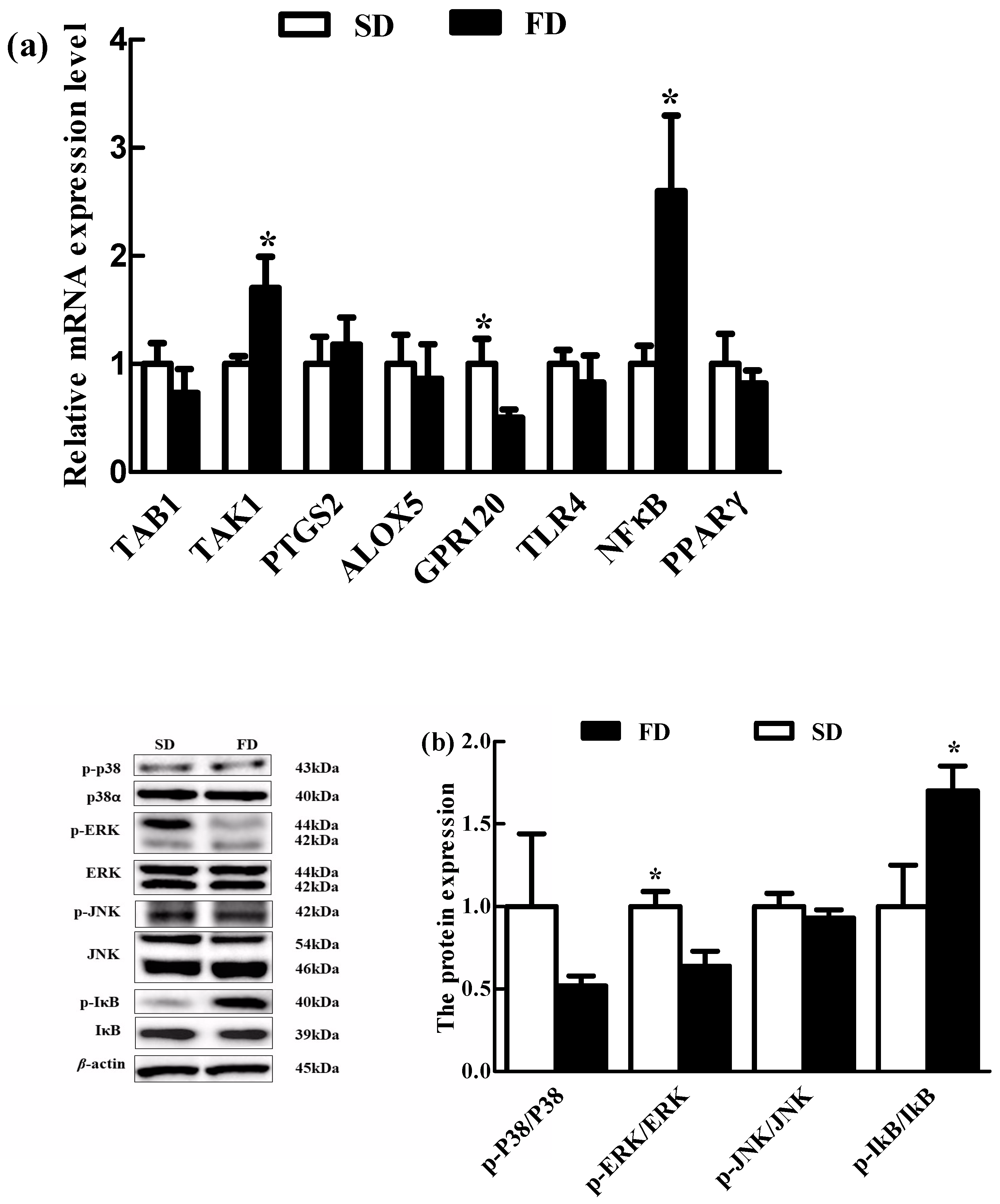 Animals 10 01455 g003