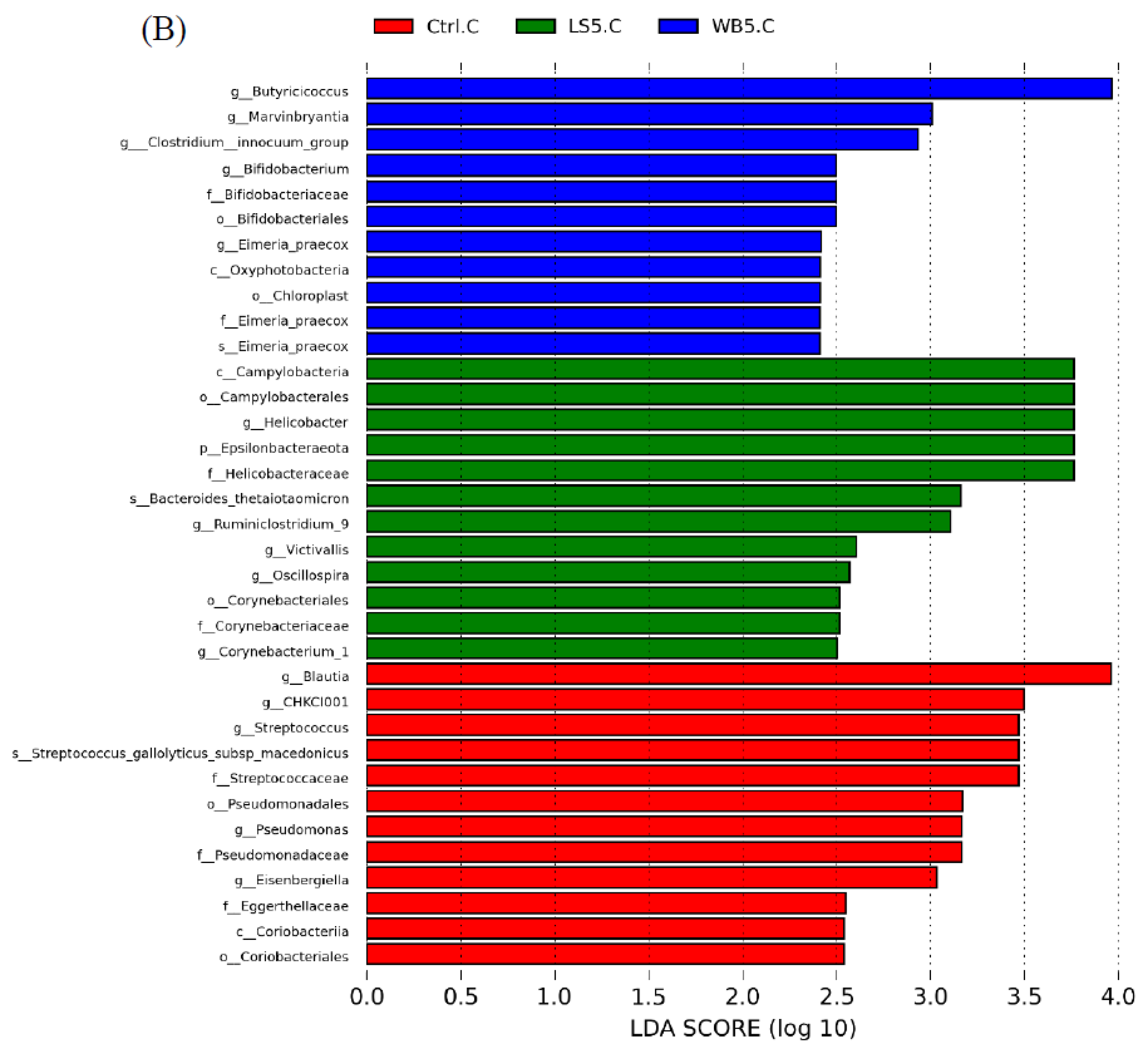 Animals 10 01457 g005b Animals 10 01457 g005b