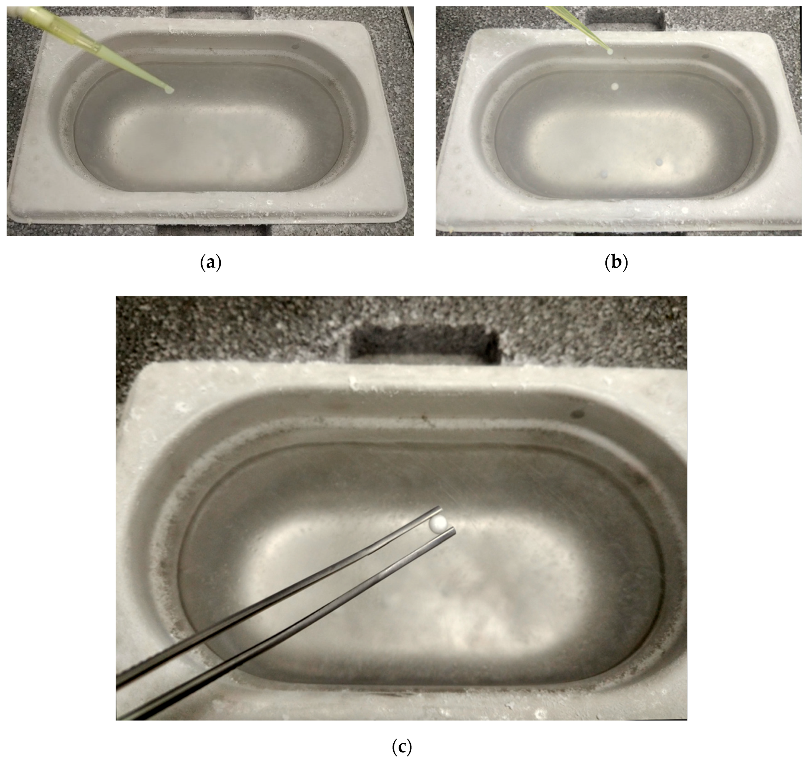 Animals 10 01462 g001 Animals 10 01462 g001