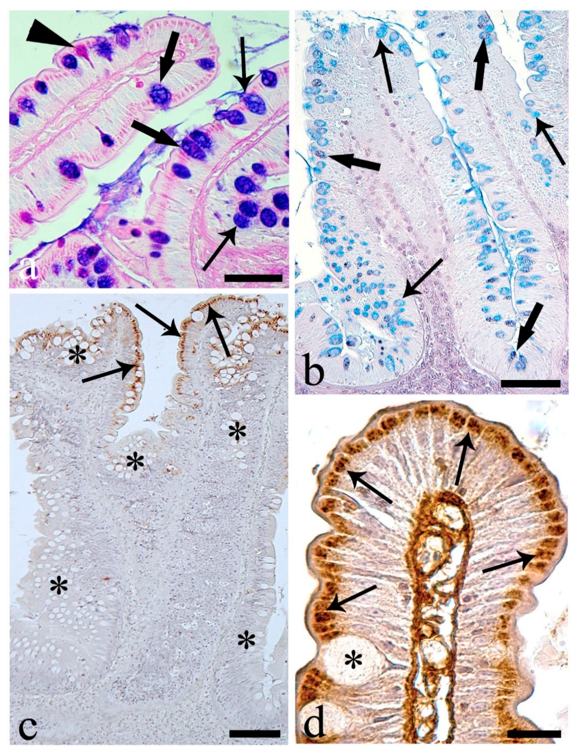 Animals 10 01479 g004 Animals 10 01479 g004