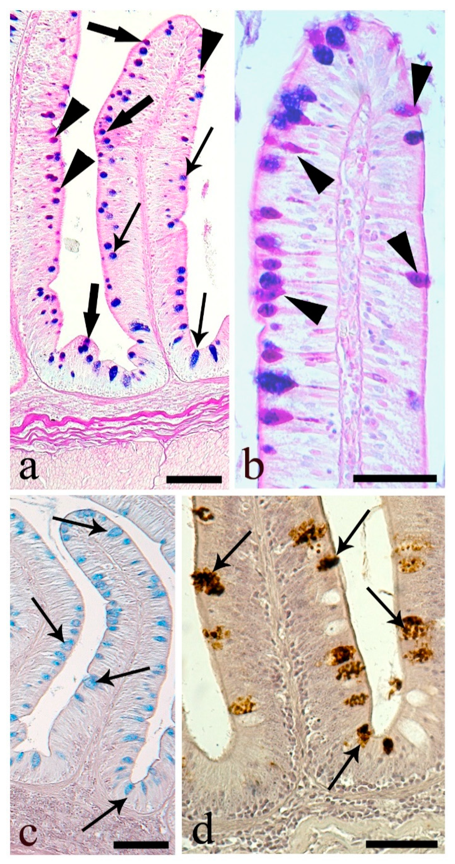 Animals 10 01479 g006 Animals 10 01479 g006