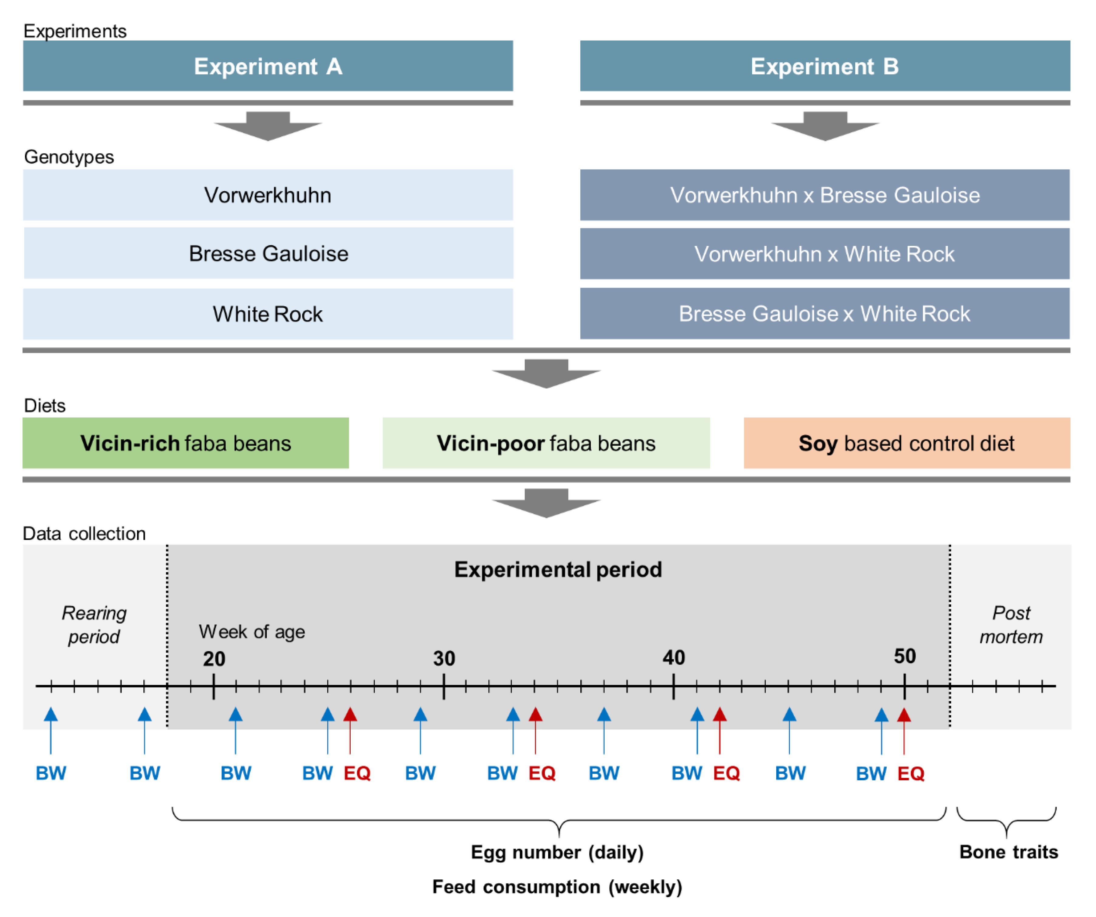 Animals 10 01480 g001