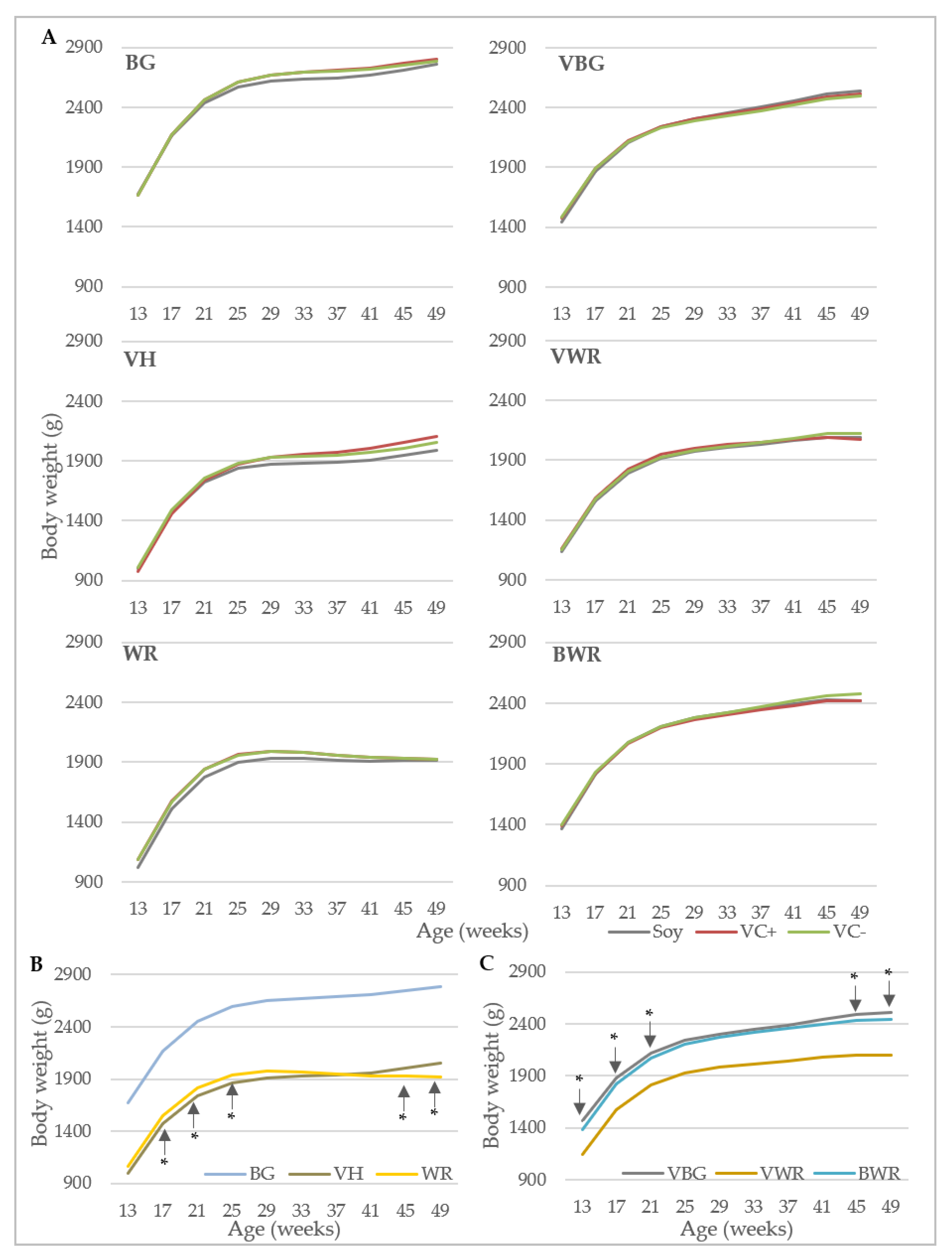 Animals 10 01480 g002