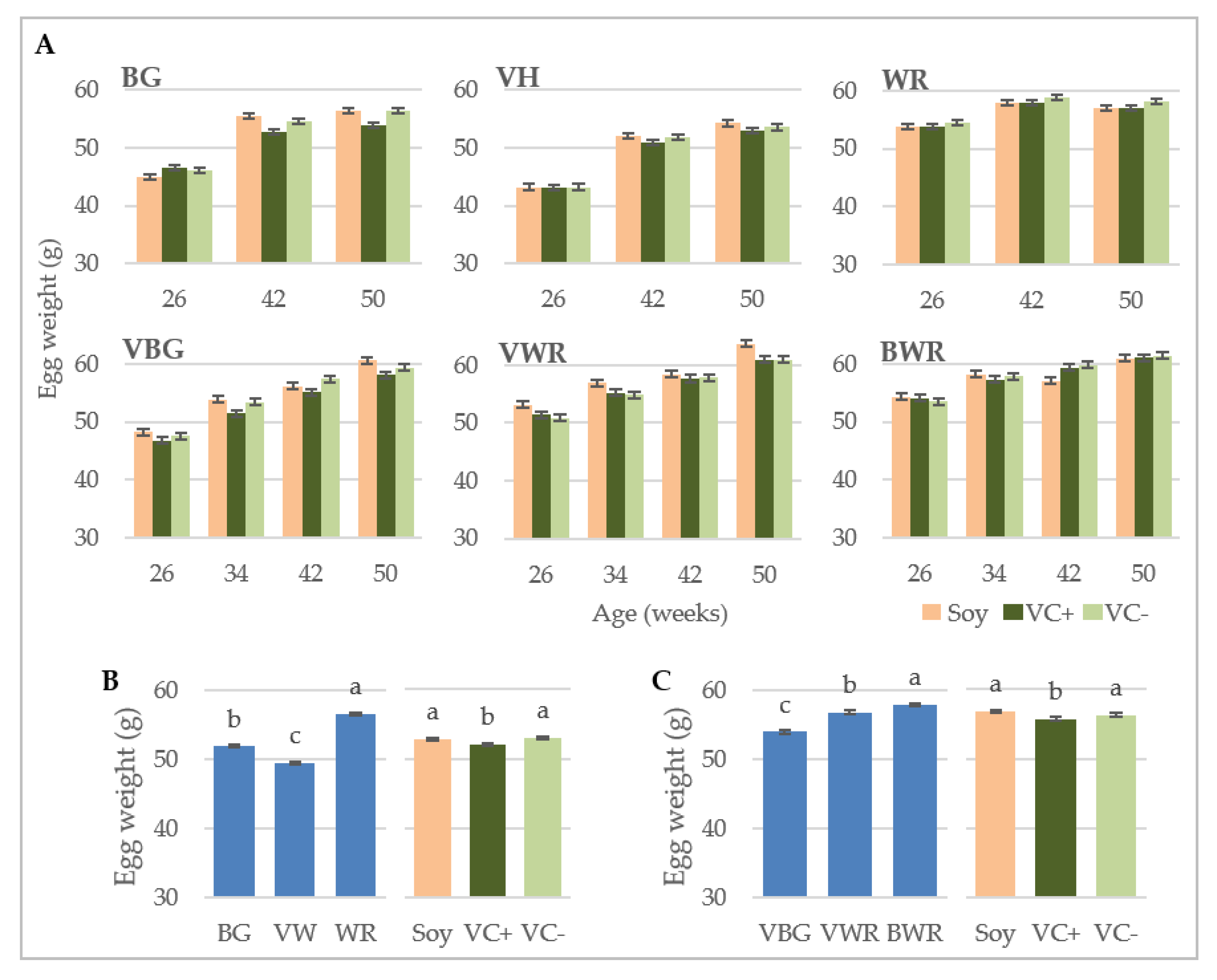 Animals 10 01480 g004