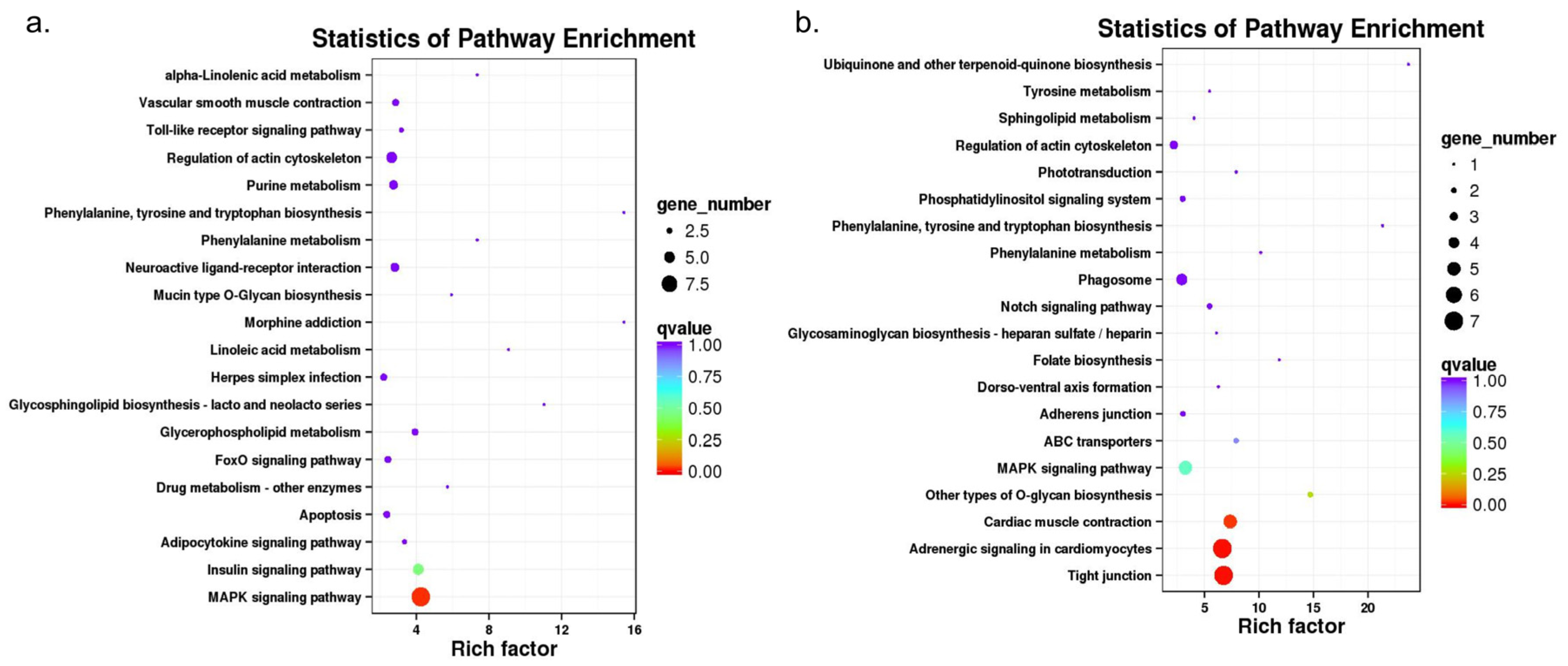 Animals 10 01483 g004