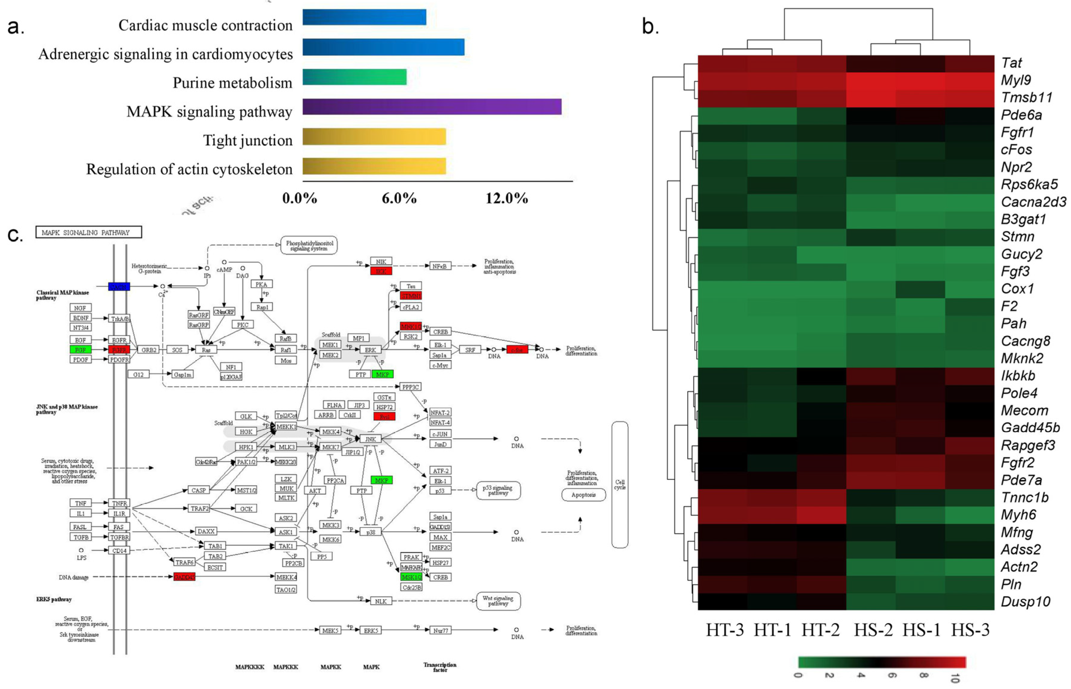 Animals 10 01483 g005