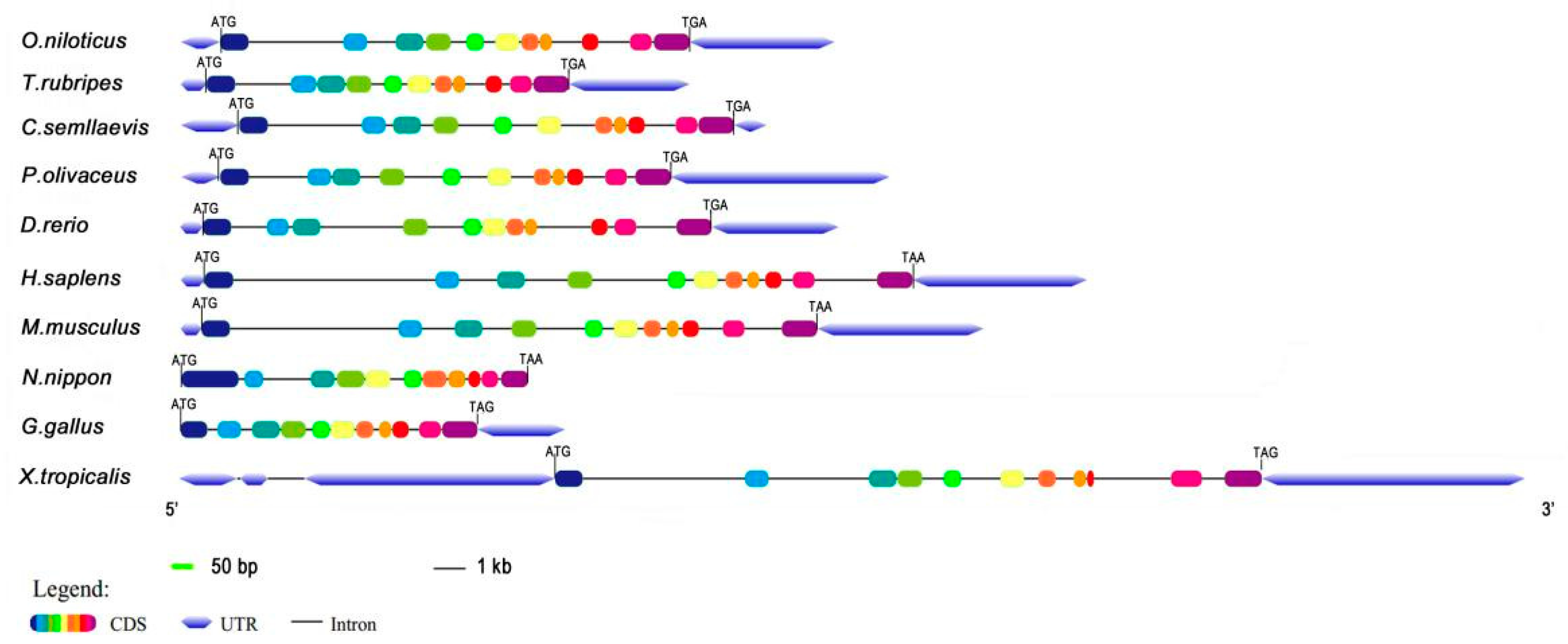 Animals 10 01503 g002