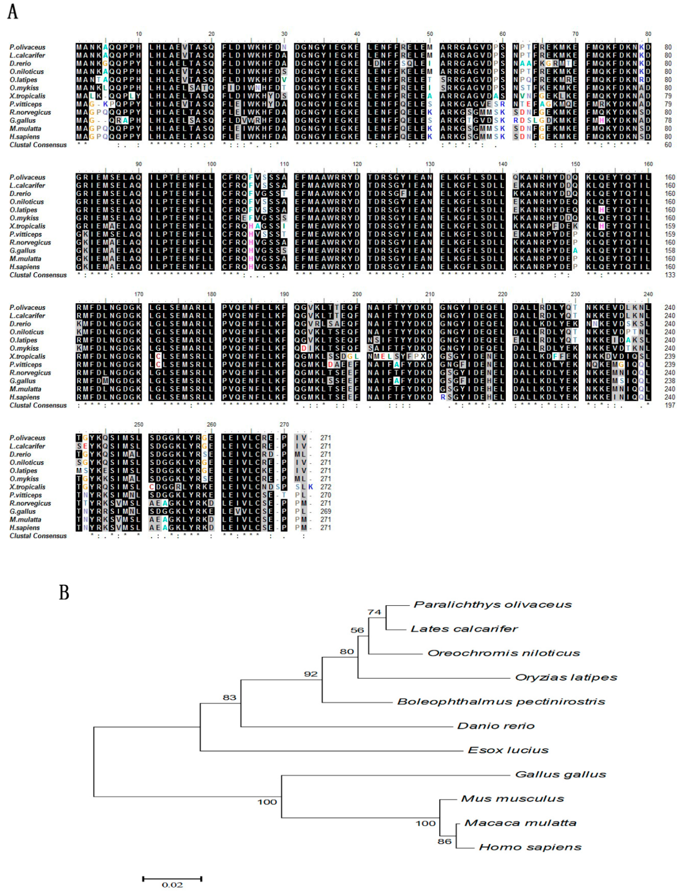 Animals 10 01503 g003