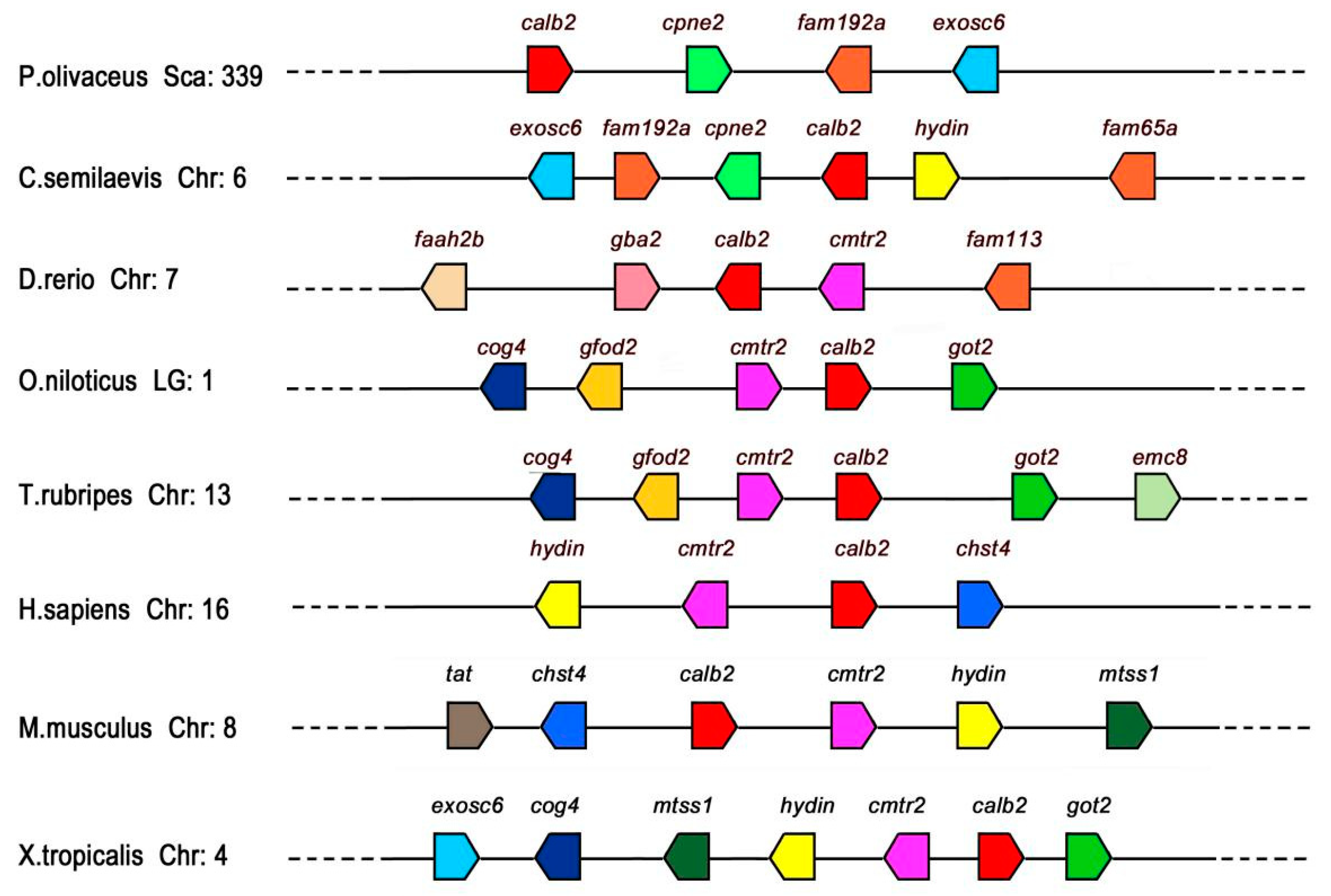 Animals 10 01503 g004