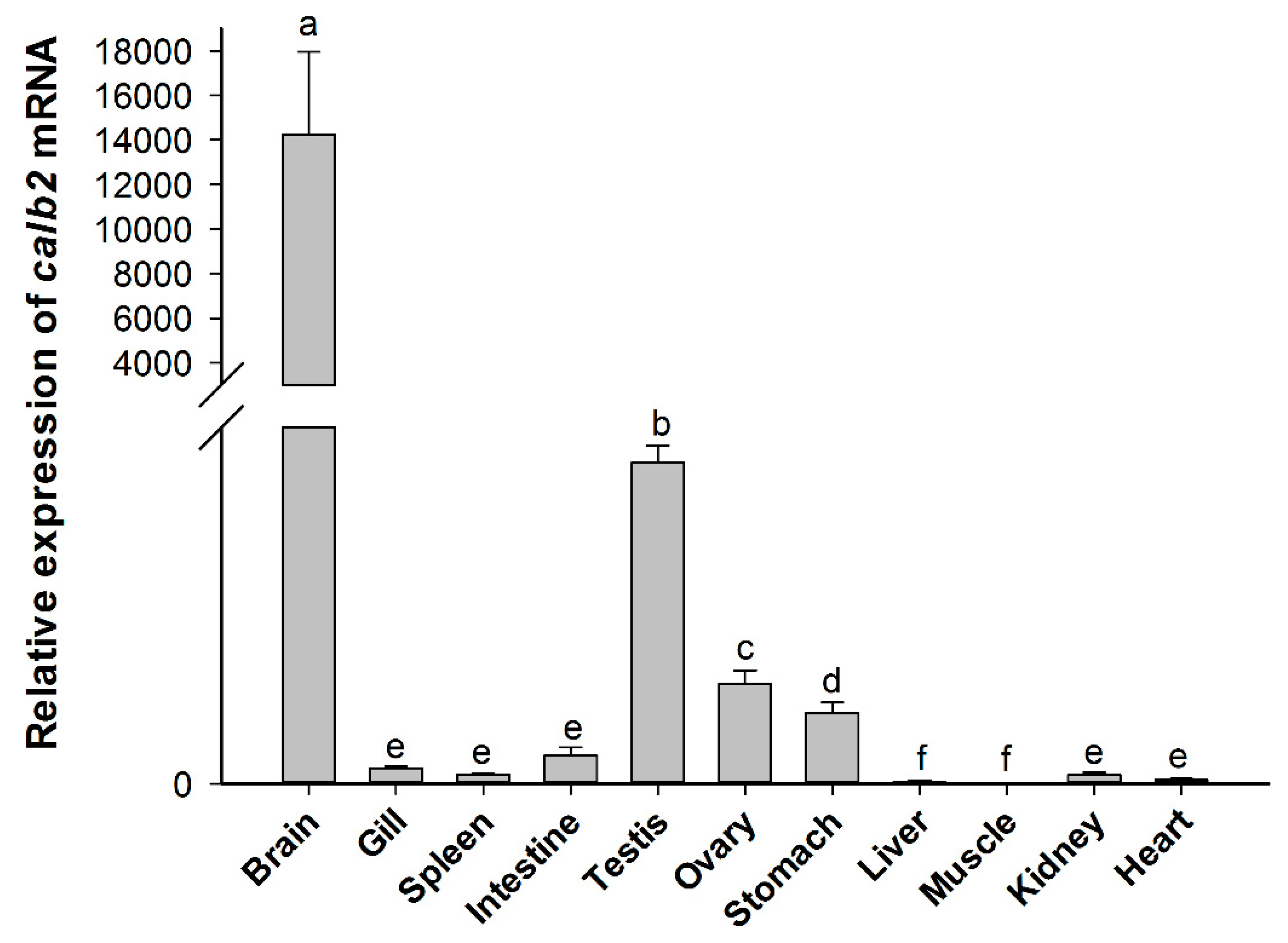 Animals 10 01503 g005