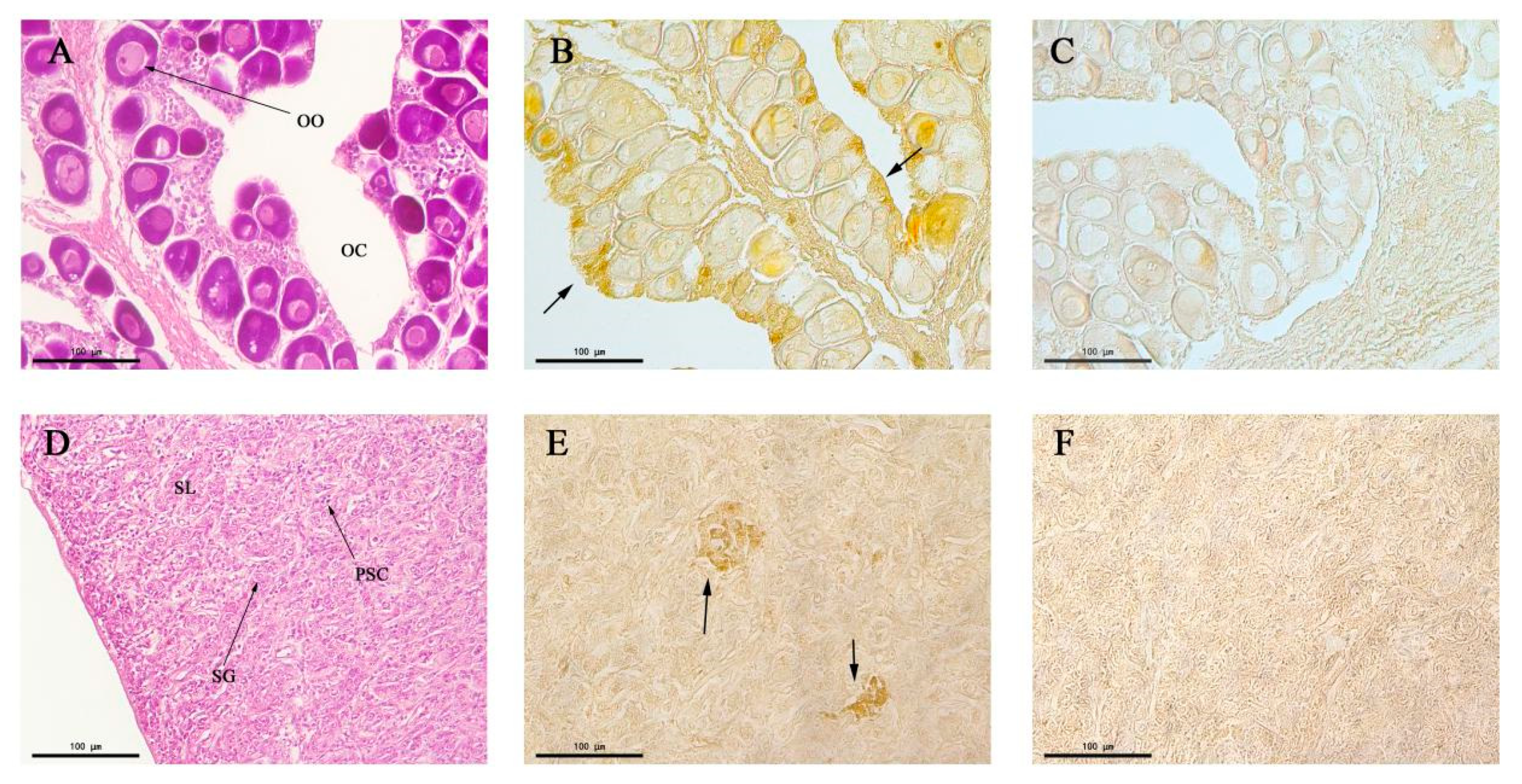 Animals 10 01503 g007