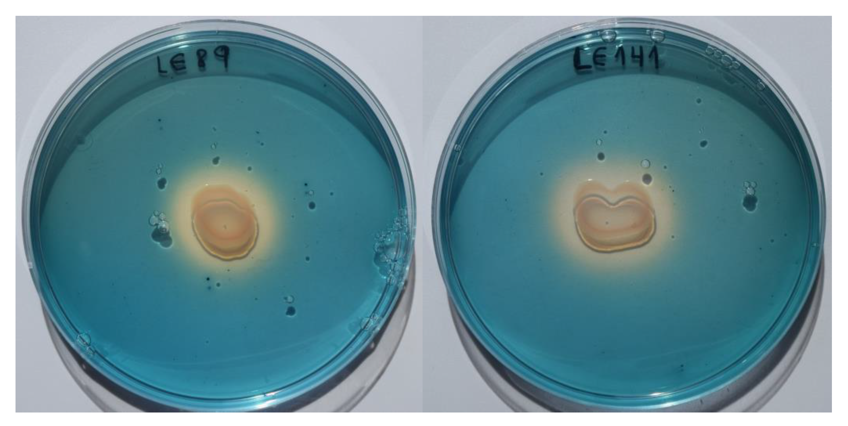 Animals 10 01507 g003