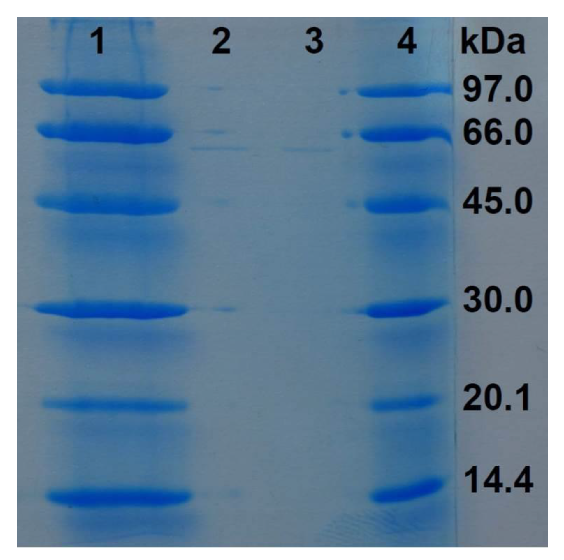 Animals 10 01507 g004