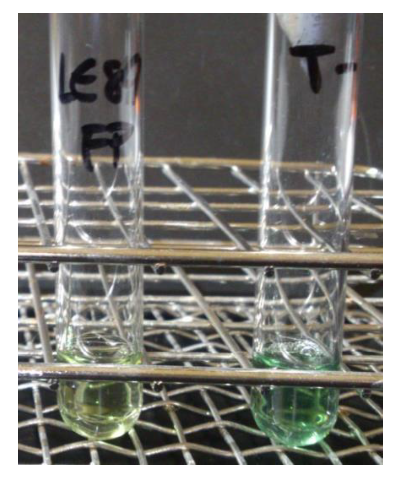 Animals 10 01507 g005