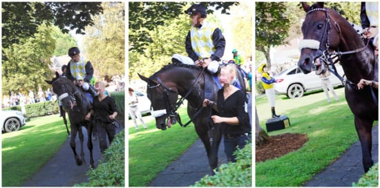 Animals 10 01513 g0a1