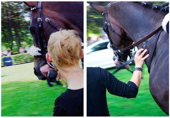 Animals 10 01513 g0a3