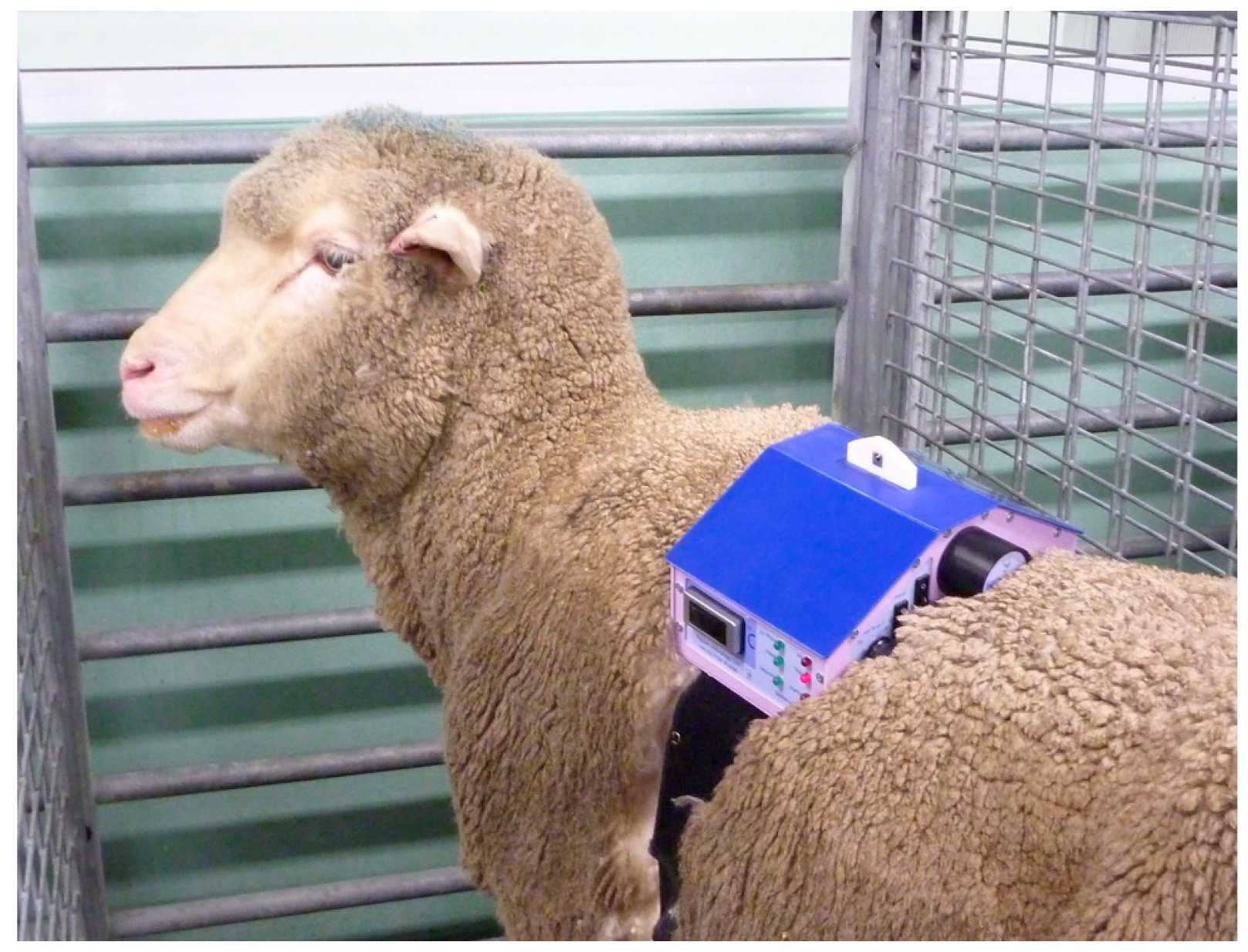 Animals 10 01556 g003