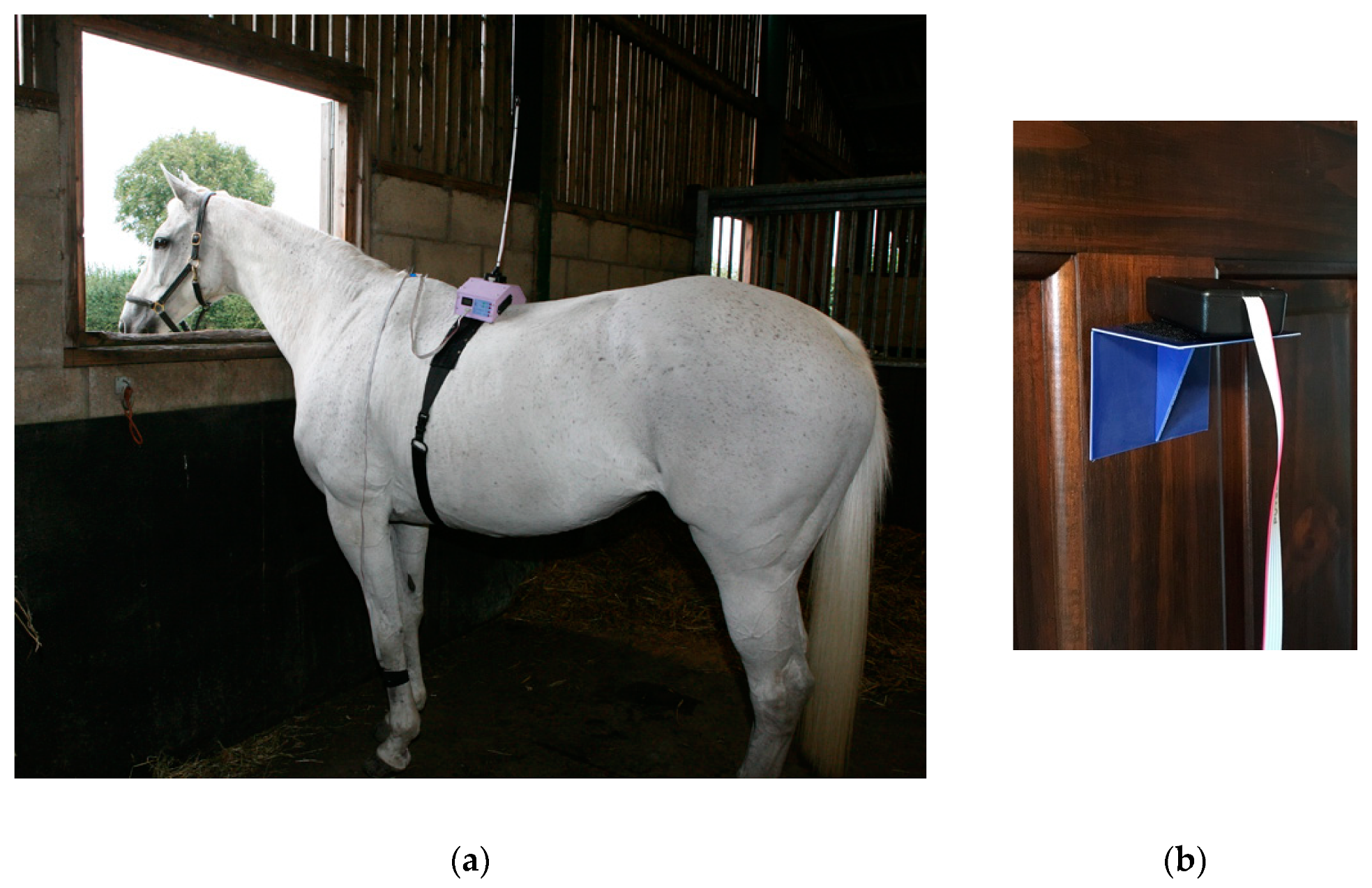 Animals 10 01556 g005