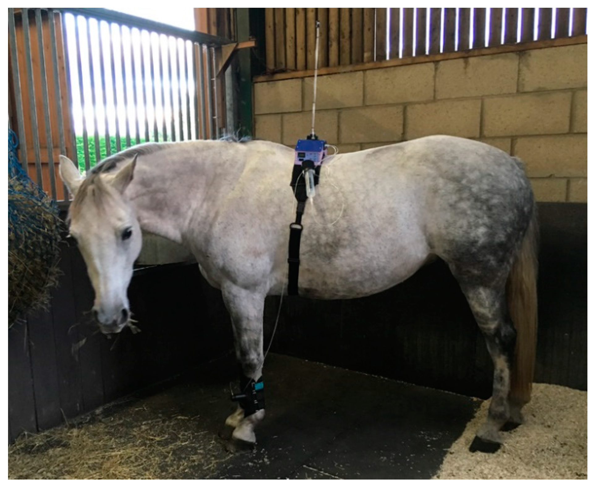 Animals 10 01556 g008