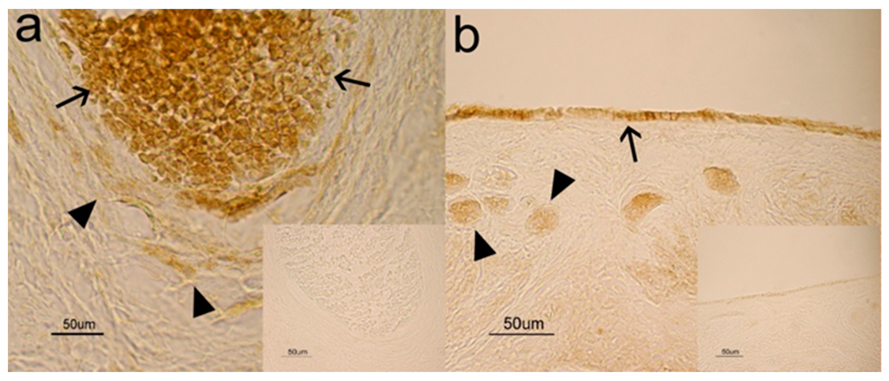 Animals 10 01558 g002