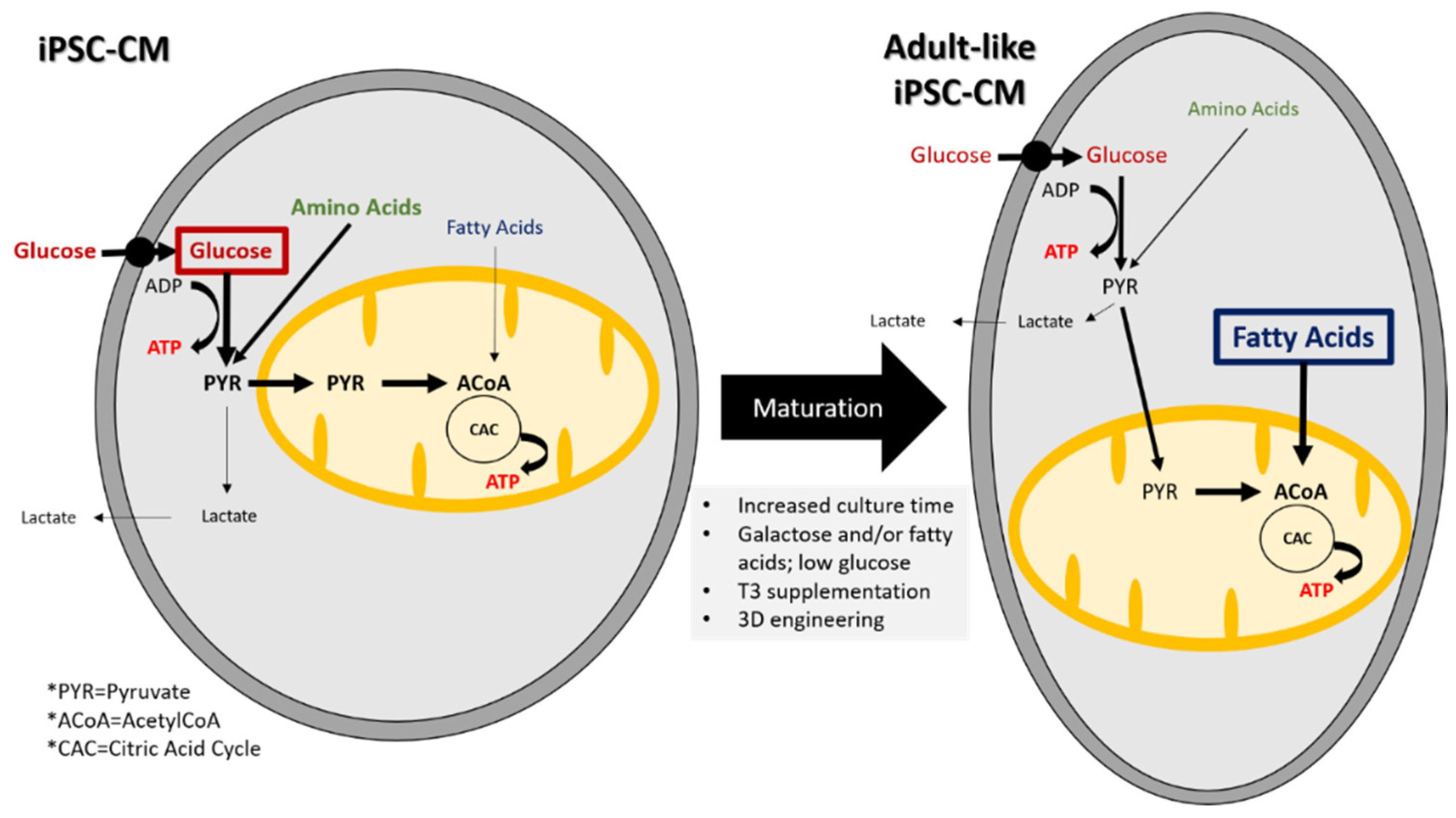 Animals 10 01561 g001