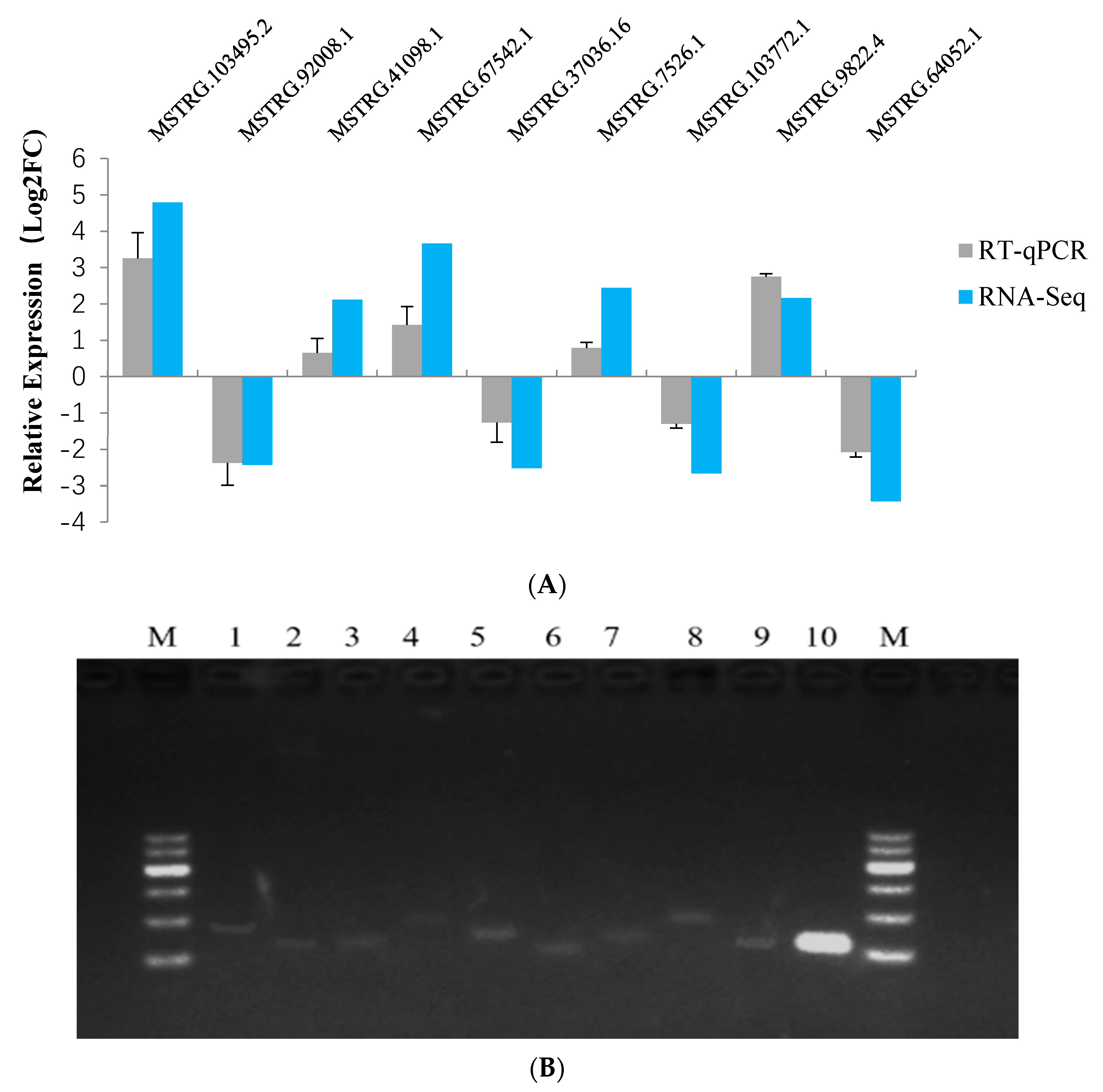 Animals 10 01565 g002