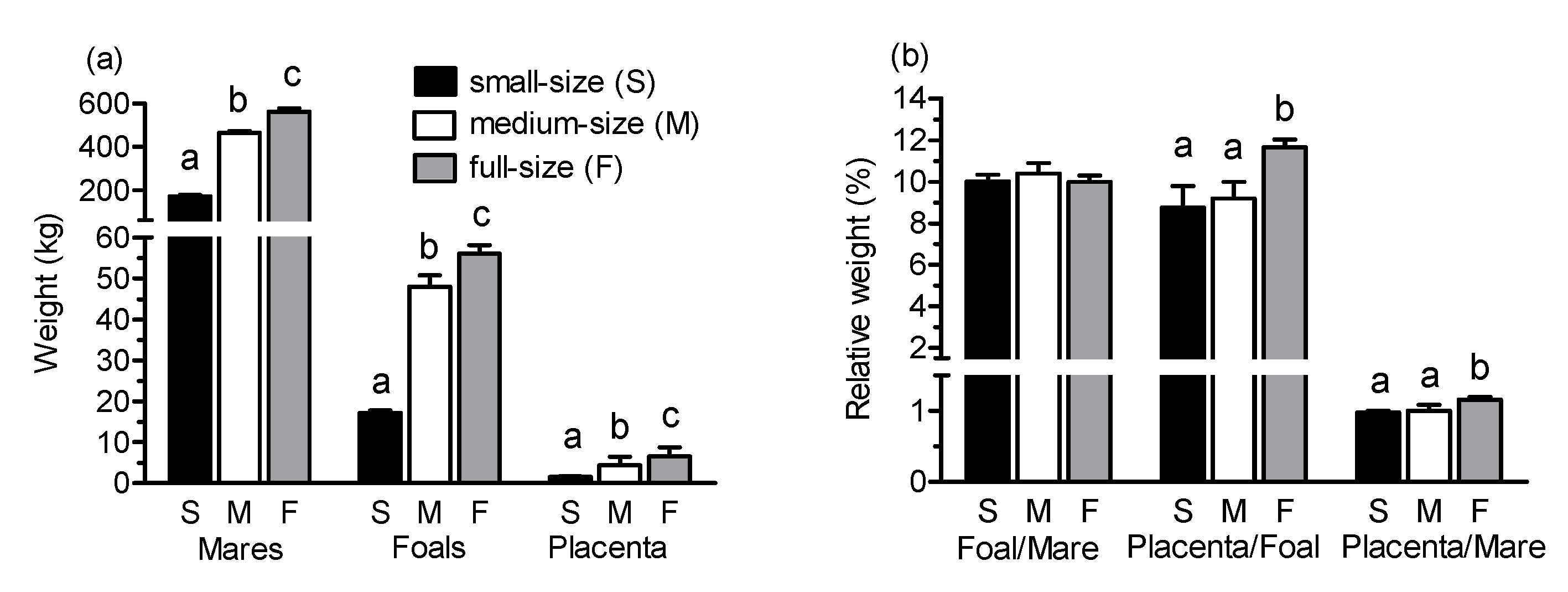 Animals 10 01577 g001