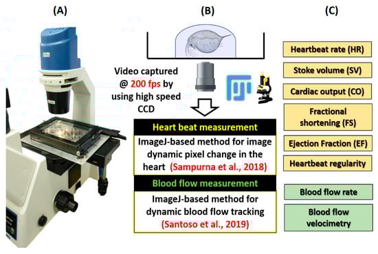 Animals 10 01587 g0a1