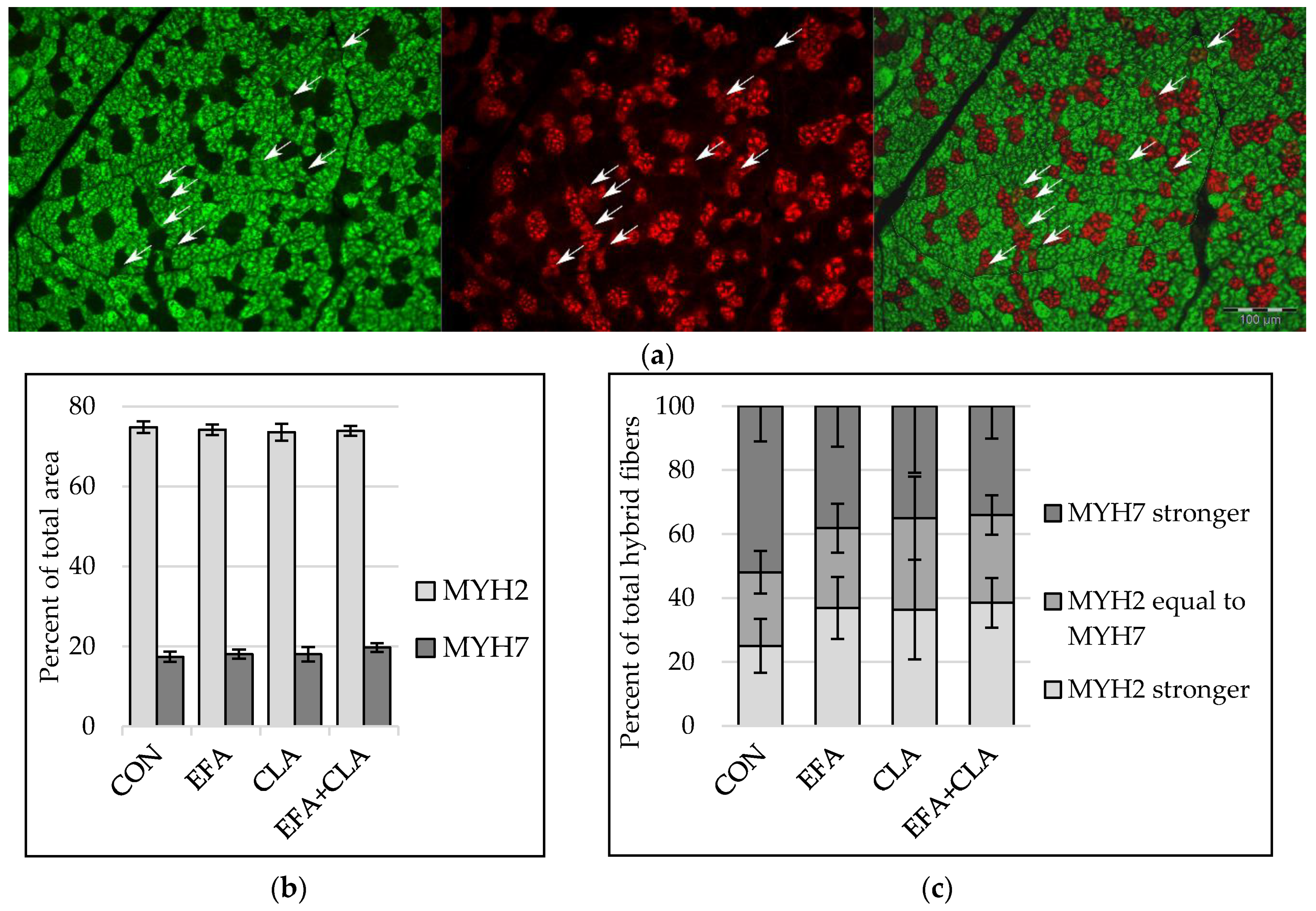 Animals 10 01598 g002 Animals 10 01598 g002