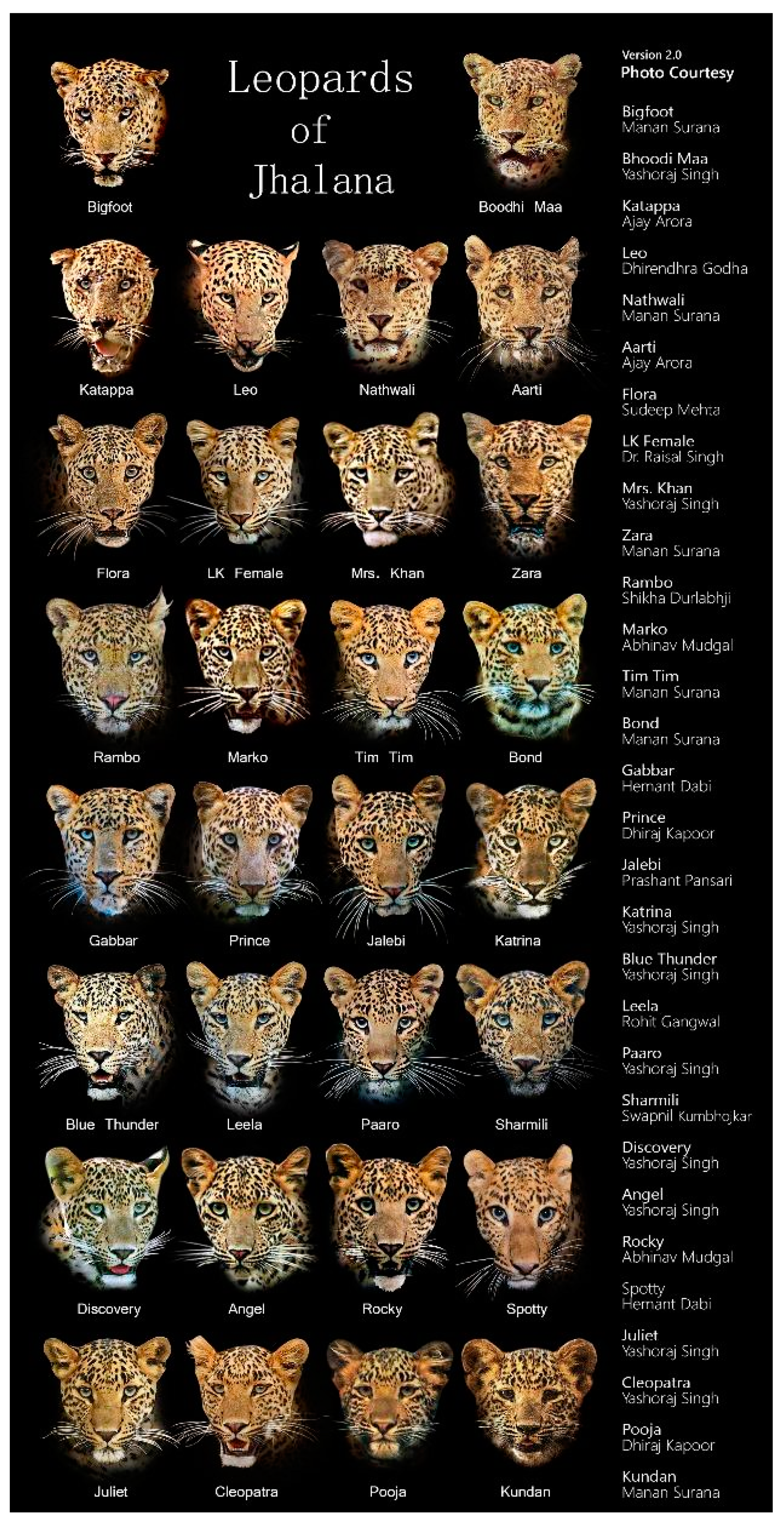 Animals 10 01600 g002