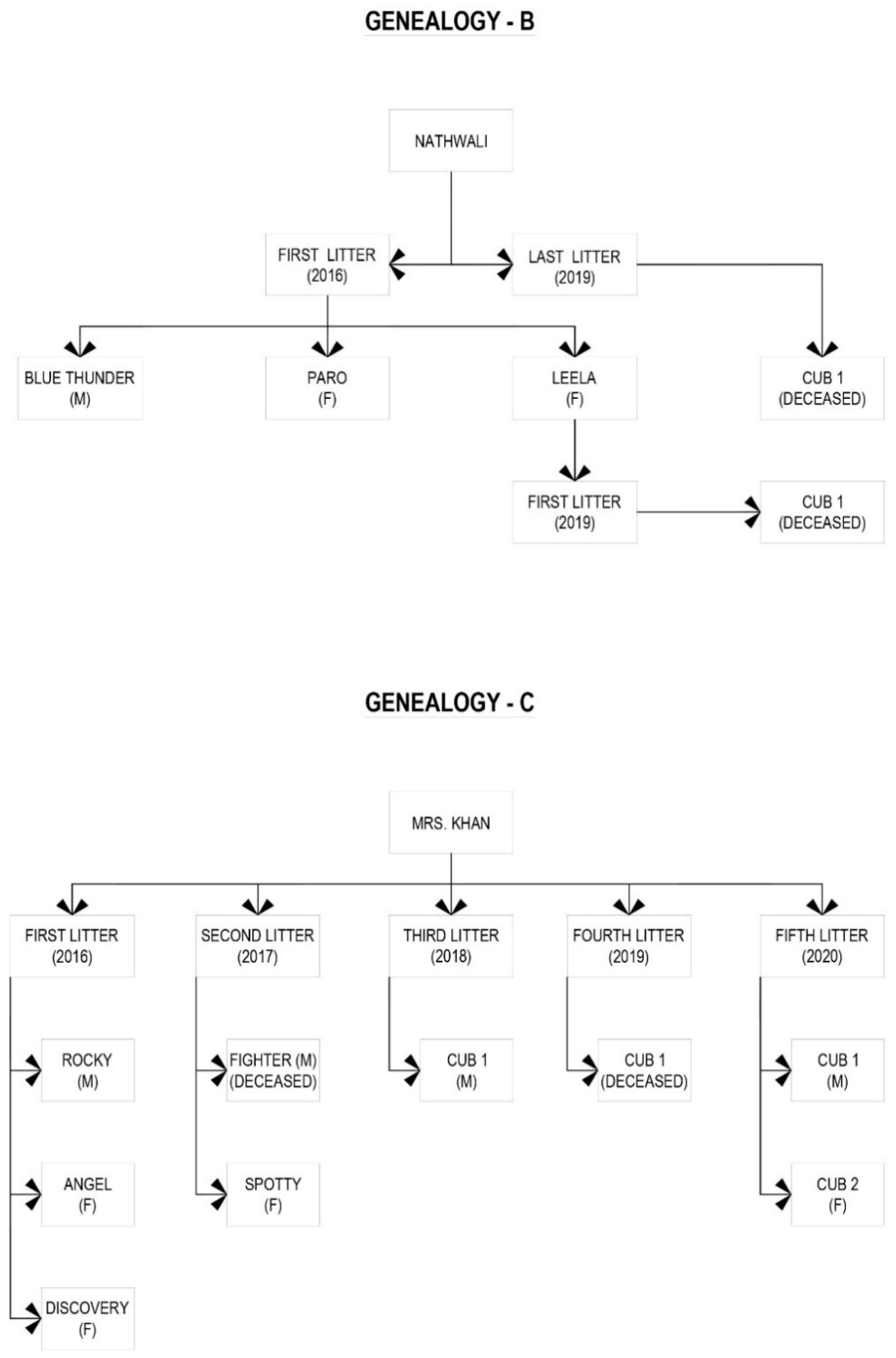 Animals 10 01600 g003b