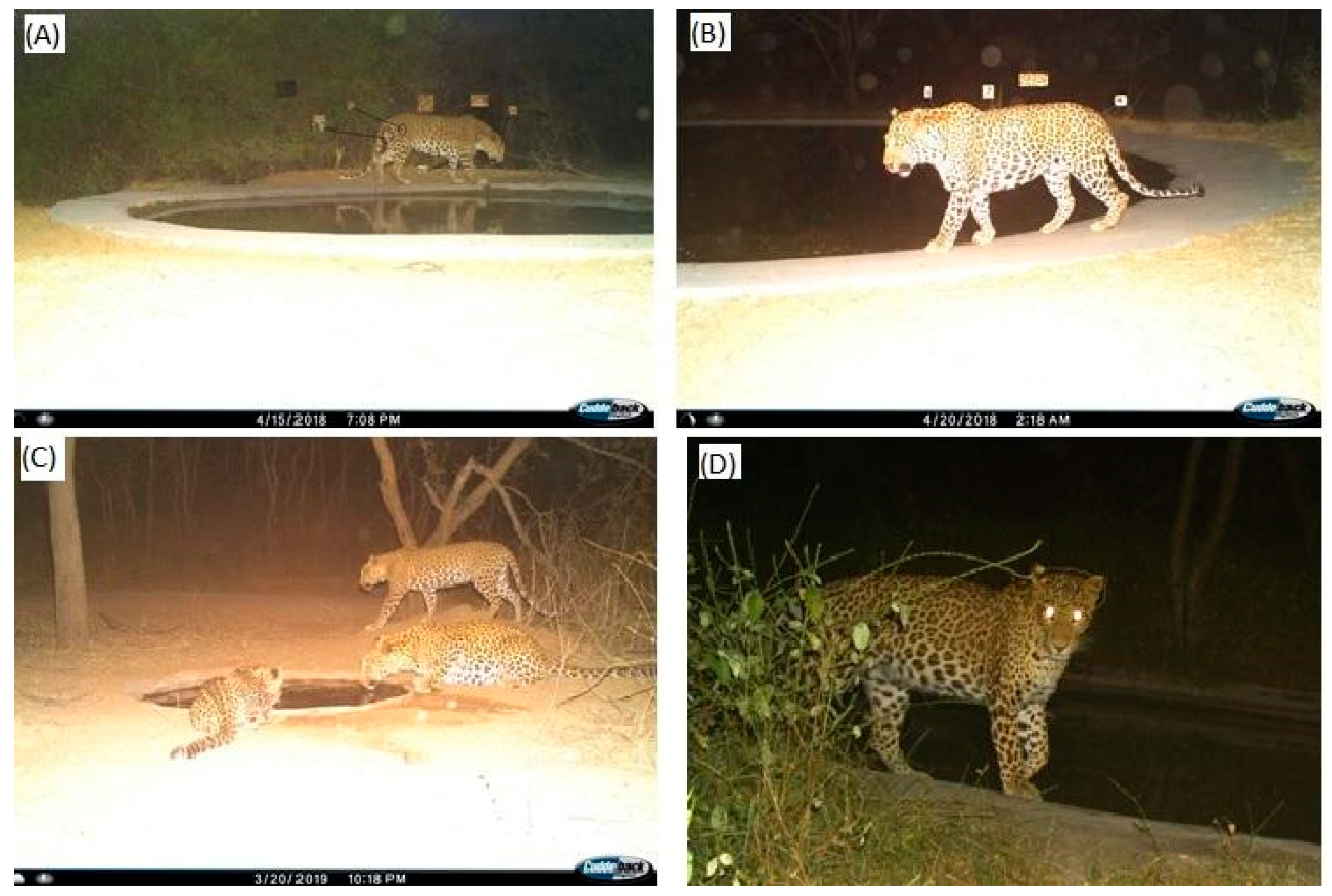 Animals 10 01600 g004