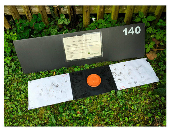 Animals 10 01606 g0a1