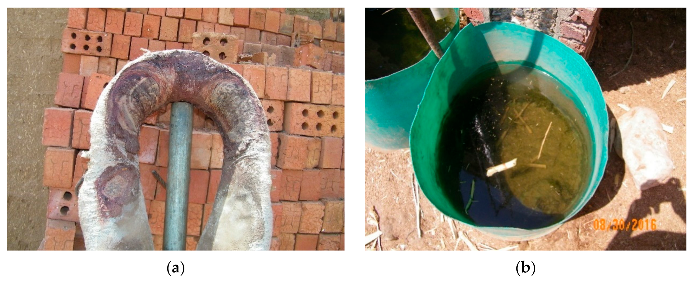 Animals 10 01611 g004 Animals 10 01611 g004